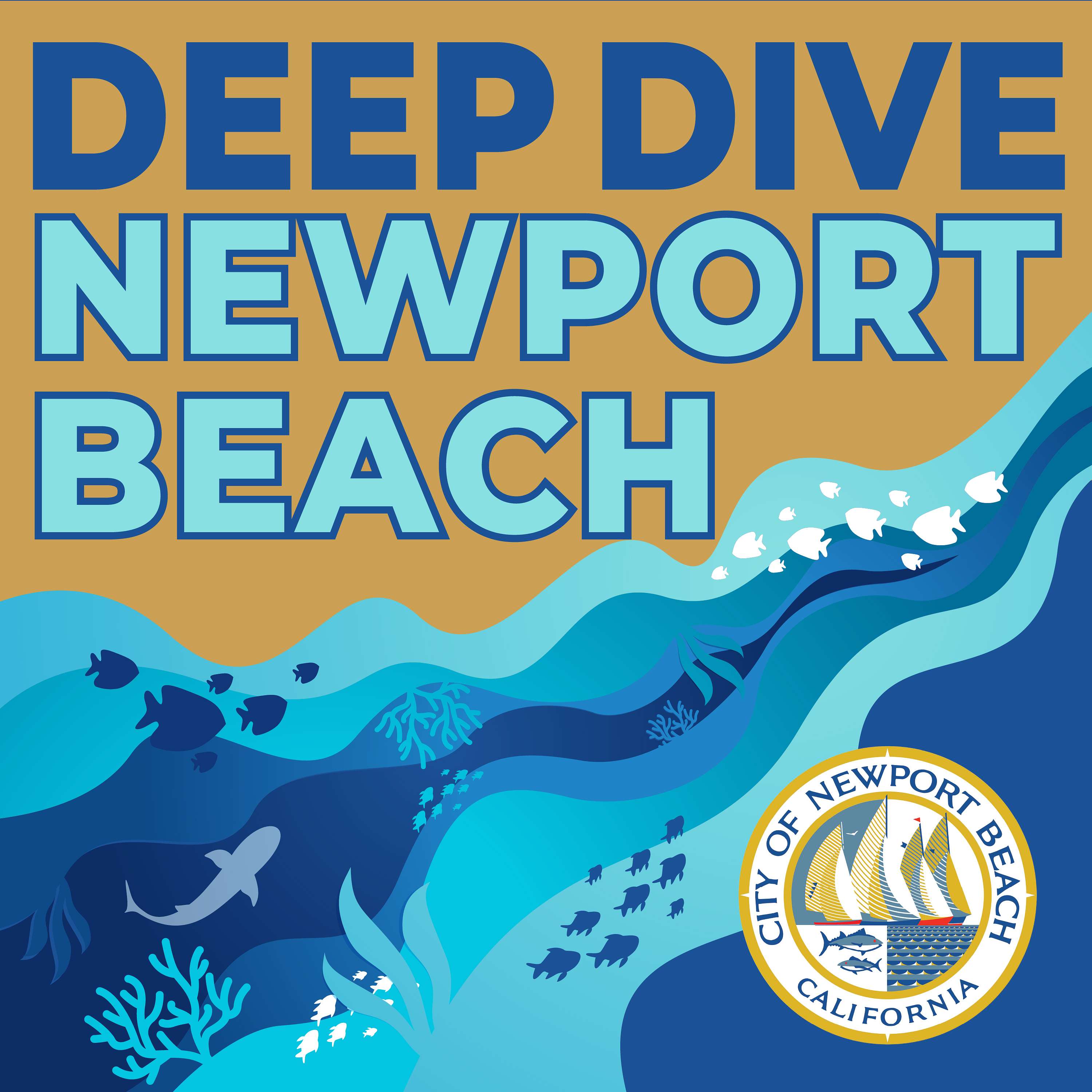 Deep Dive Newport Beach 