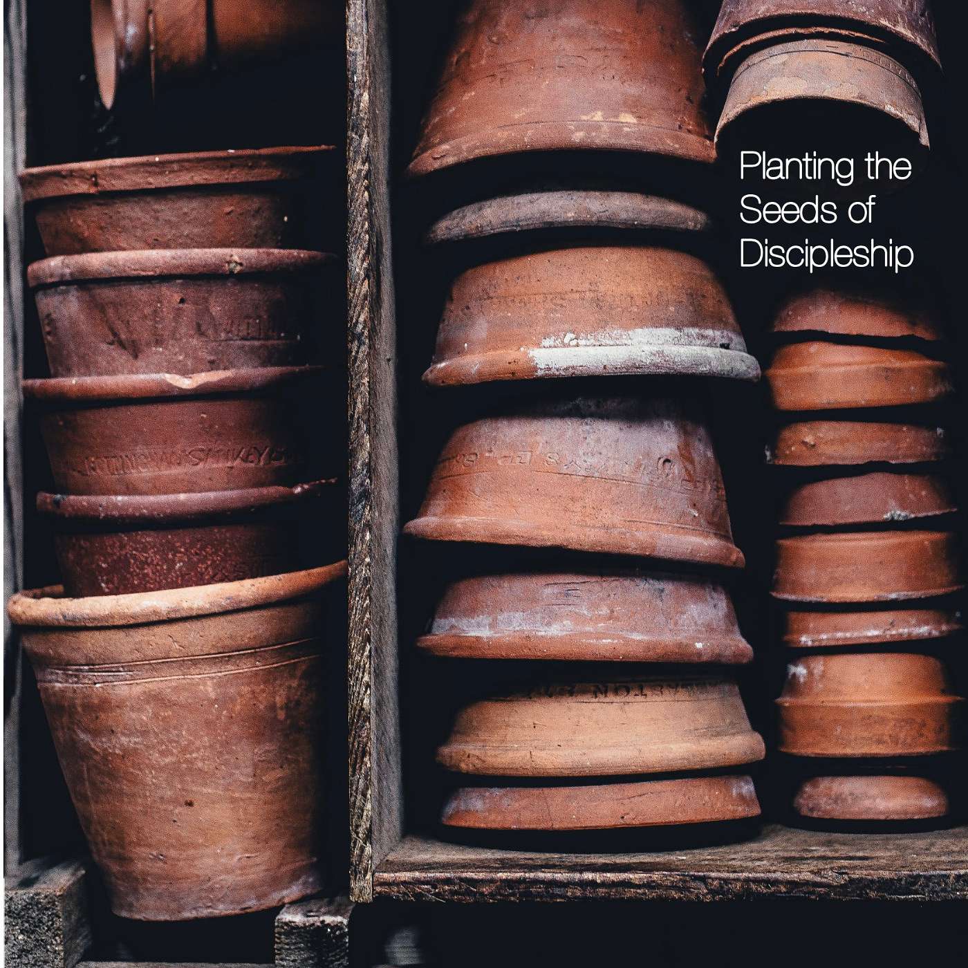 8-8-21 The Call to Discipleship: Planting Seeds of Discipleship episode artwork