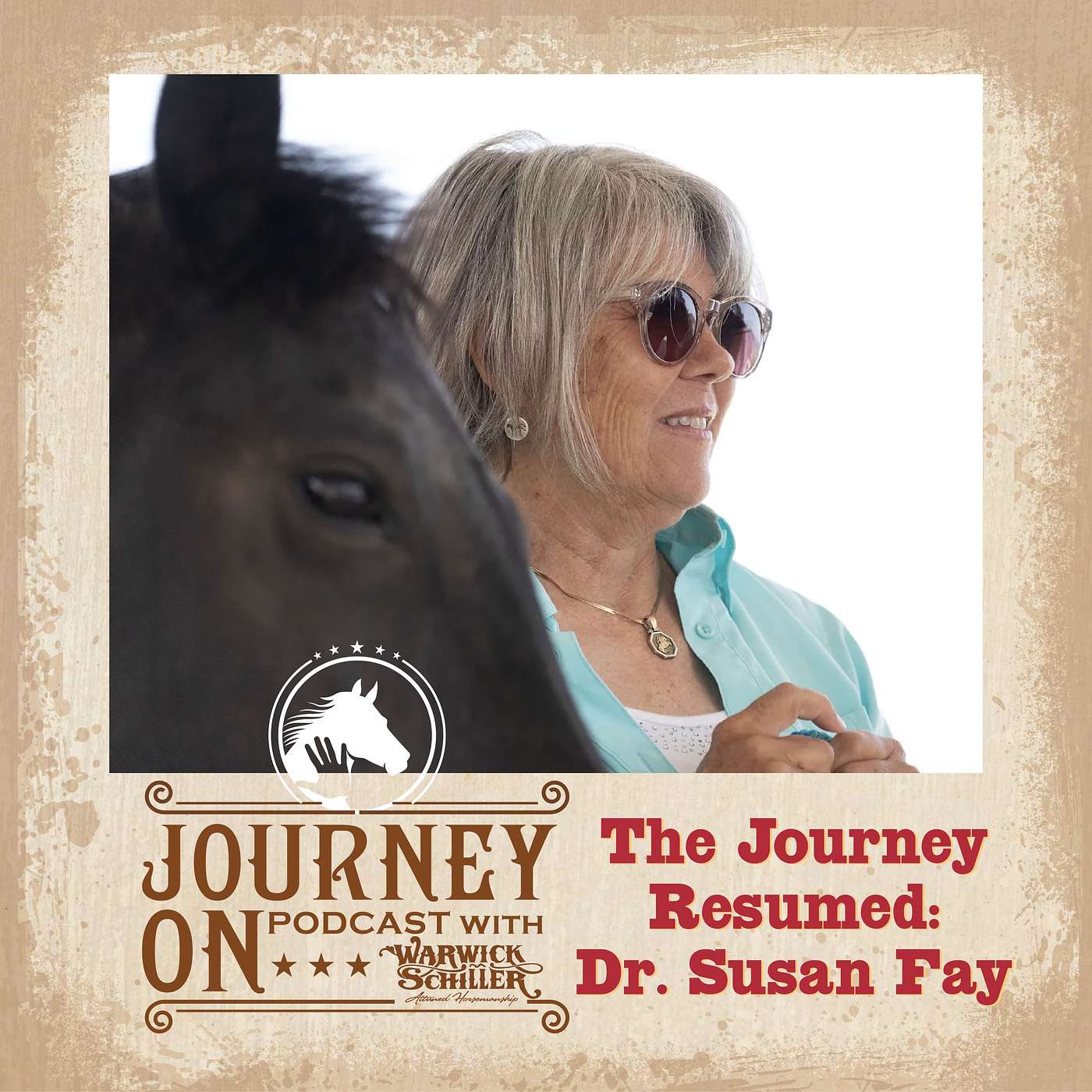 The Journey Resumed: Dr Susan Fay