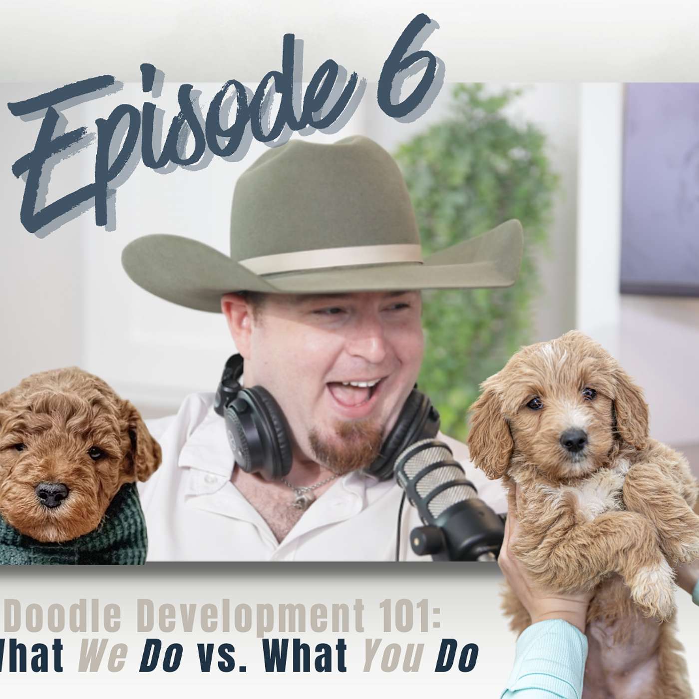 Episode 6: Can you Determine Doodle Personality at 6-8 weeks? episode artwork