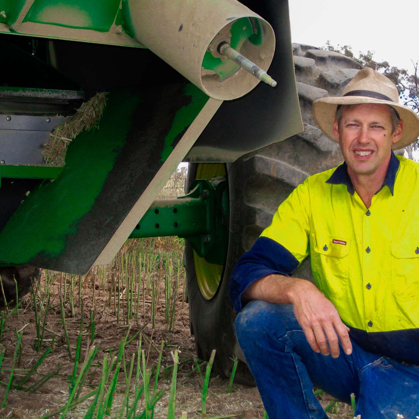 Grazing resistant ryegrass key to weed control success for Scholz family