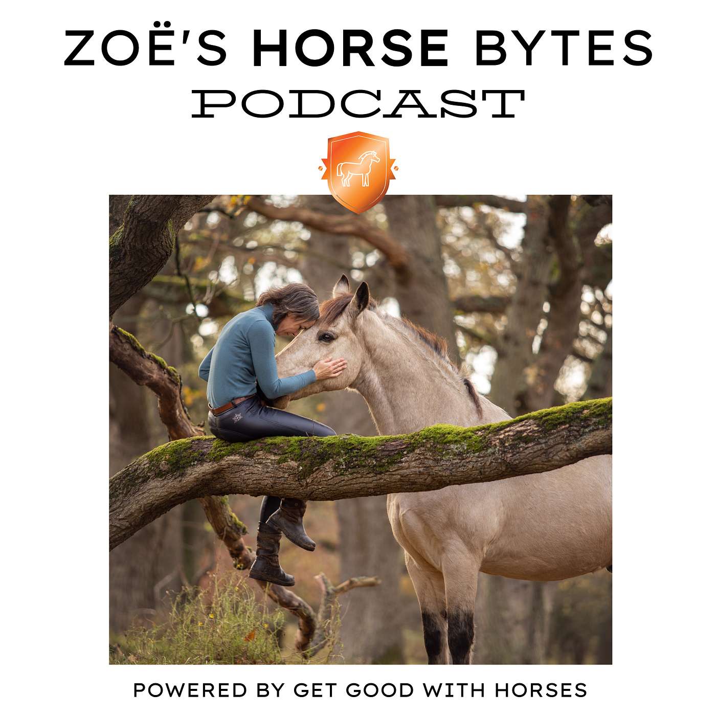 3. Your problems are none of your horses business episode artwork