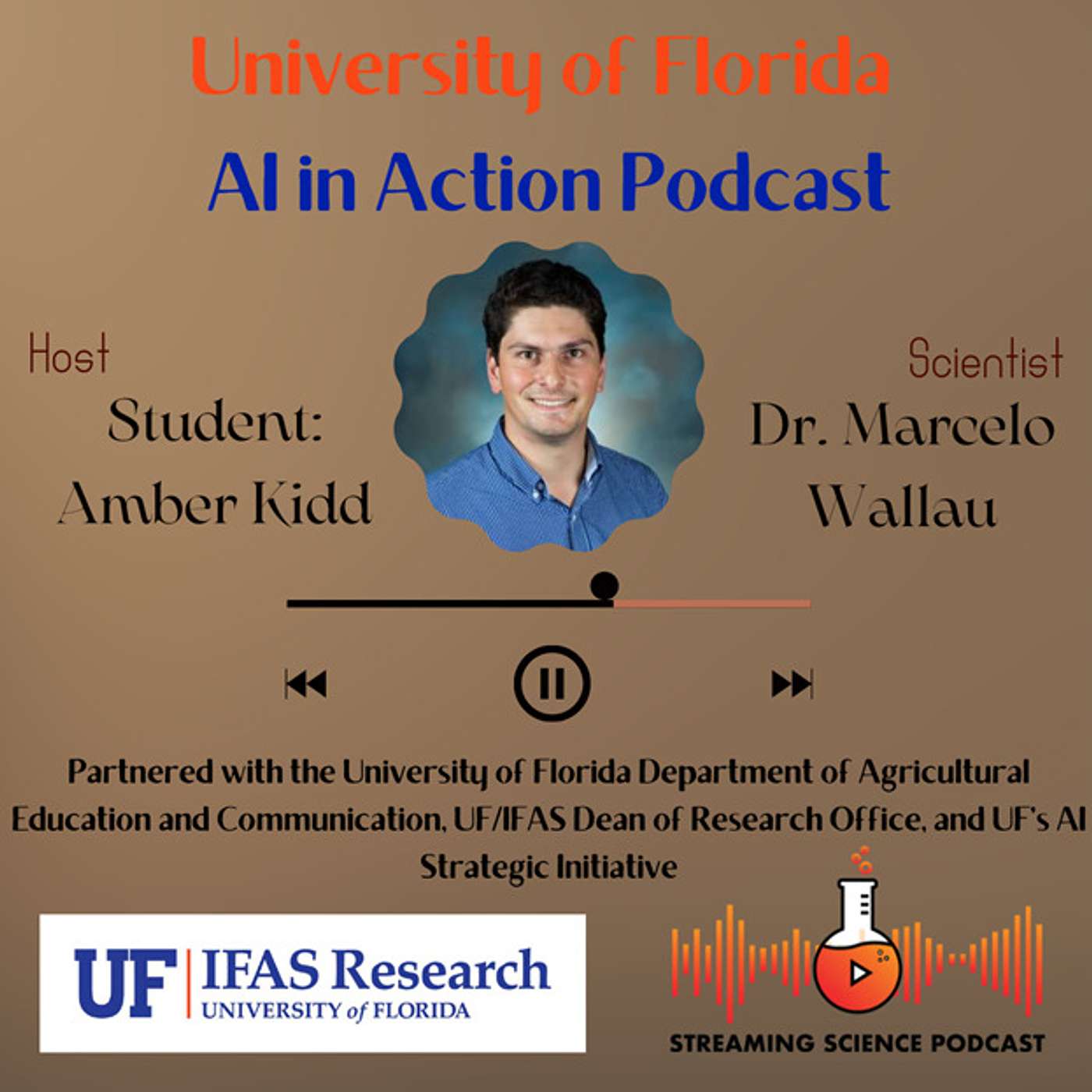 AI in Action: Dr. Marcelo Wallau episode artwork