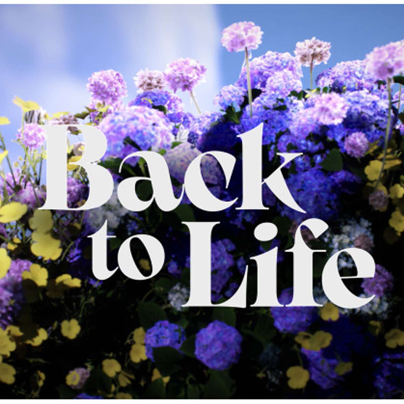 Back To Life #3 : a CCW Sermon: 23rd of April, 2023. episode artwork