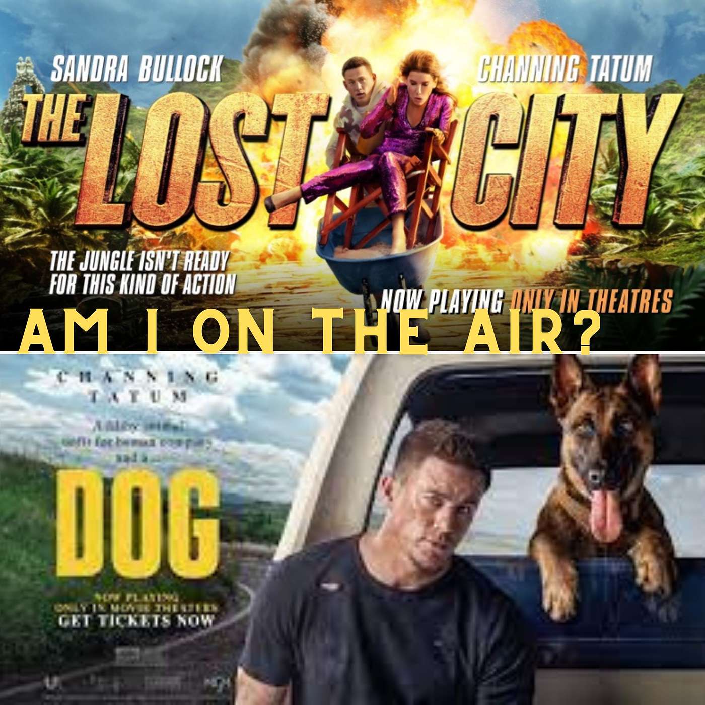 The Lost Dog