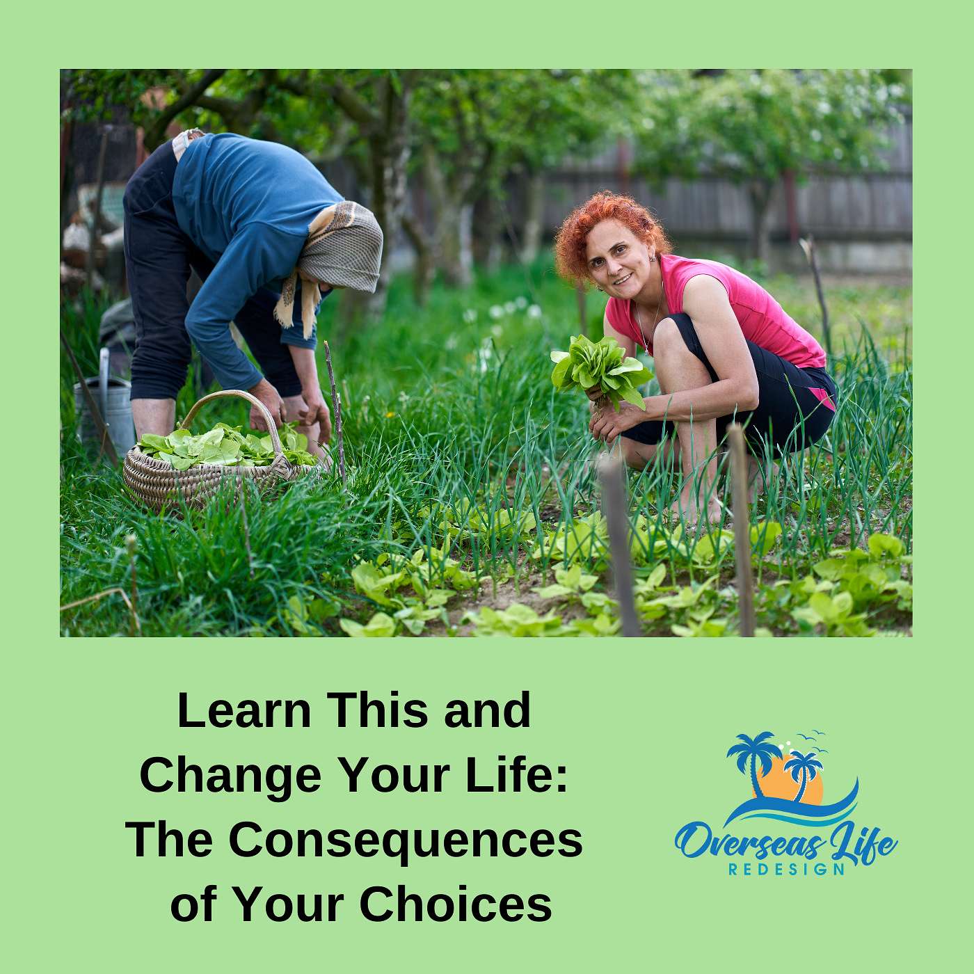 Learn This and Change Your Life: The Consequences of Your Choices
