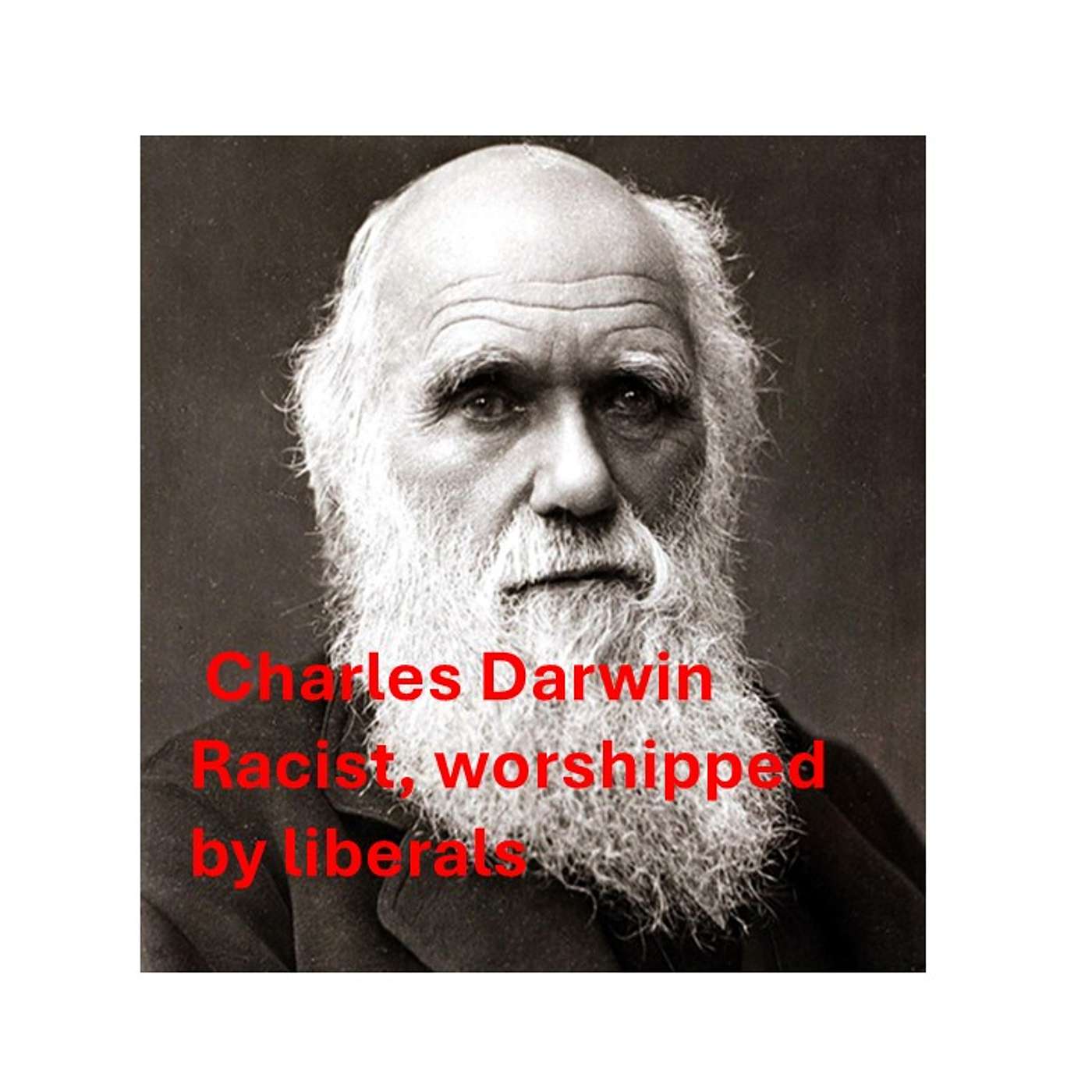 Darwin's racism