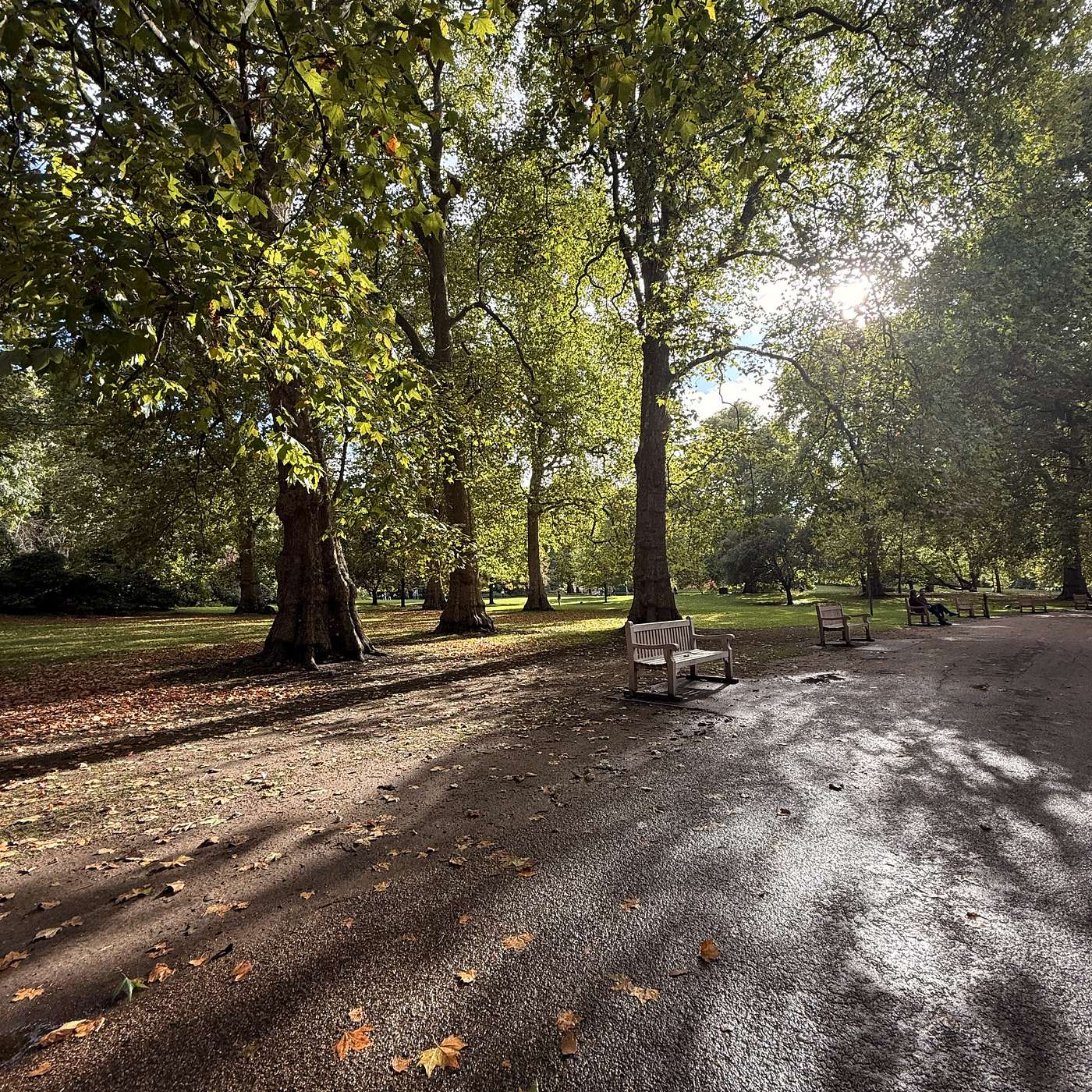 Pavarotti, the Pearl Fishers and A Month in the County excavates one’s own heart