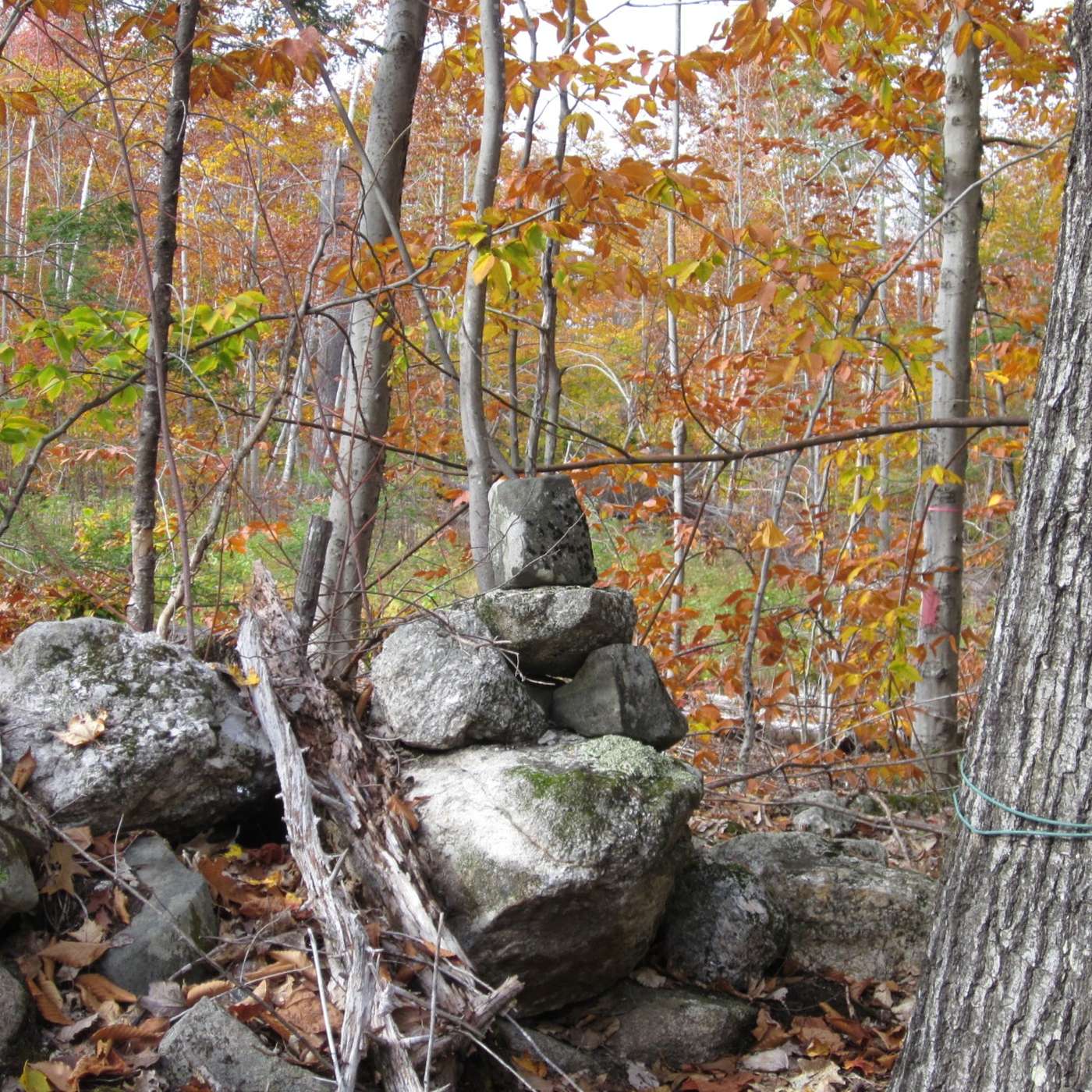 BOUNDARY MARKERS