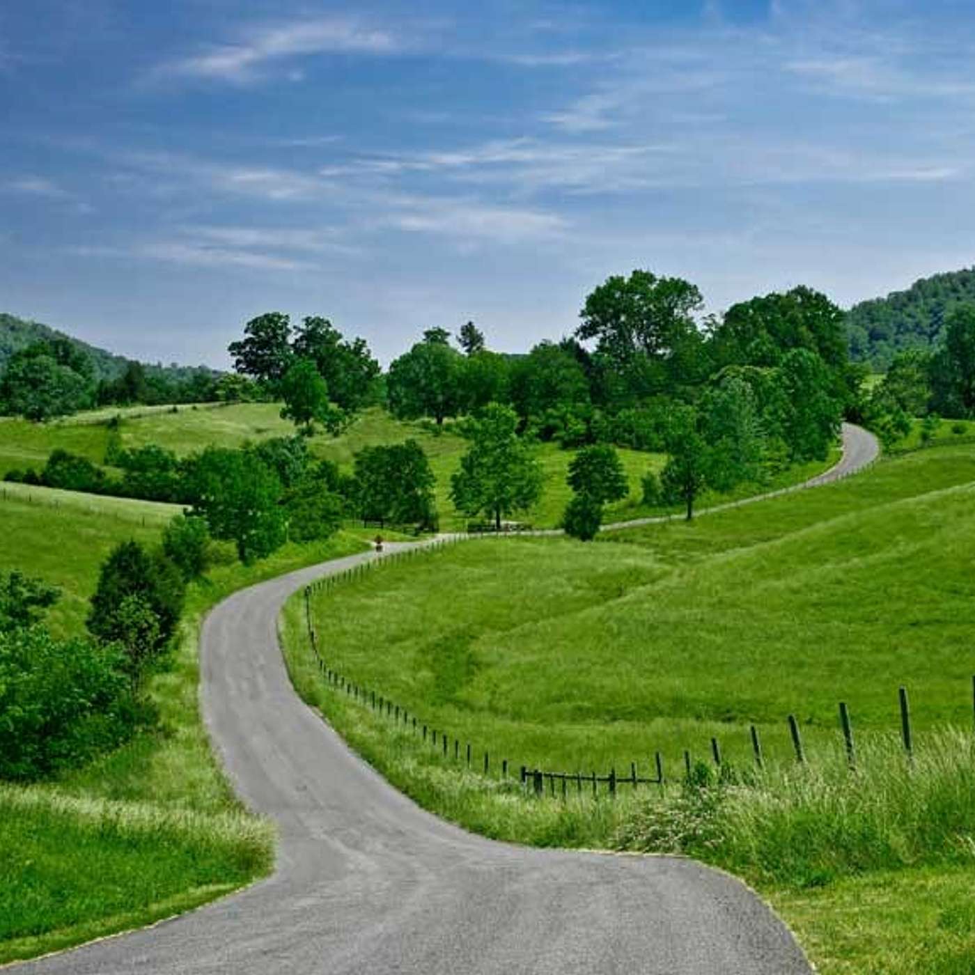Dharma Roads