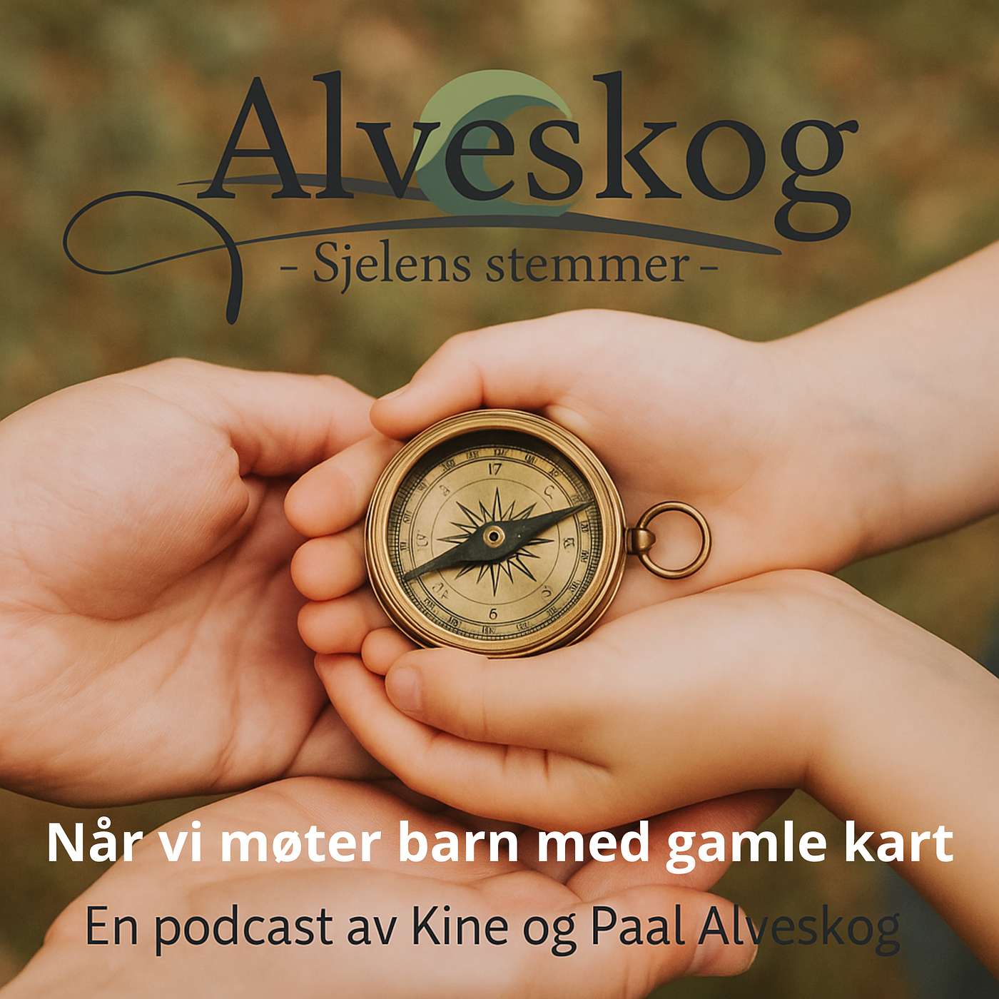 Alveskog - Sjelens stemmer