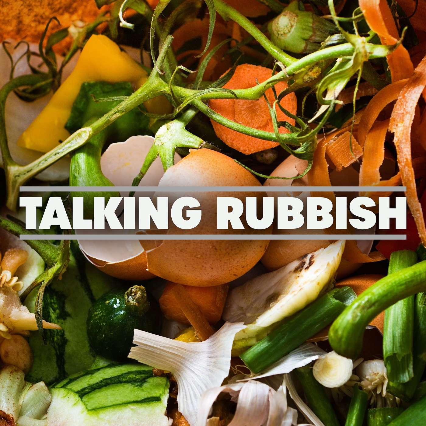 81. The sudden rise of food waste bins episode artwork