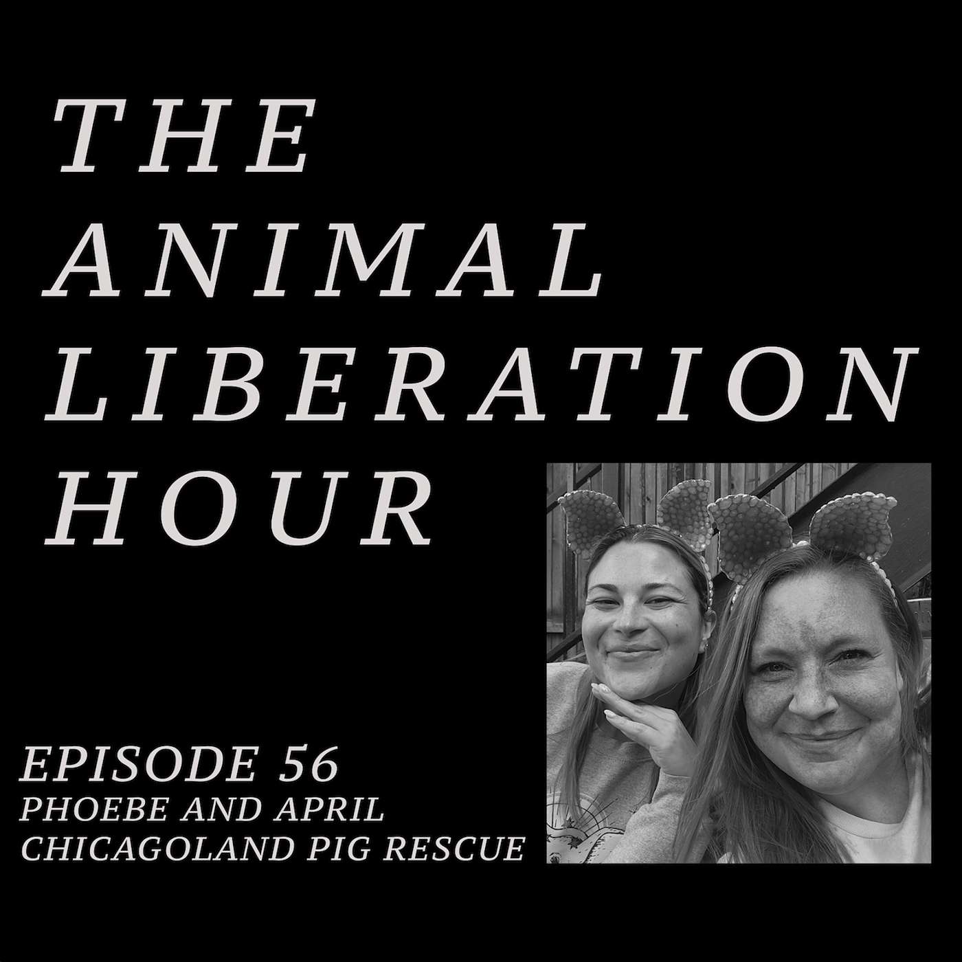 Episode 56 - April Noga and Phoebe Conner of Chicagoland Pig Rescue