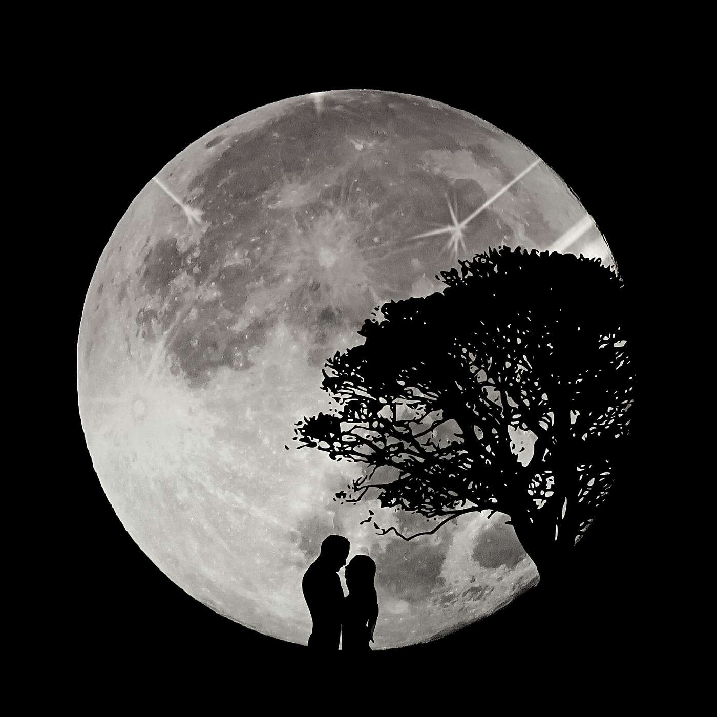 Fly Me To The Moon