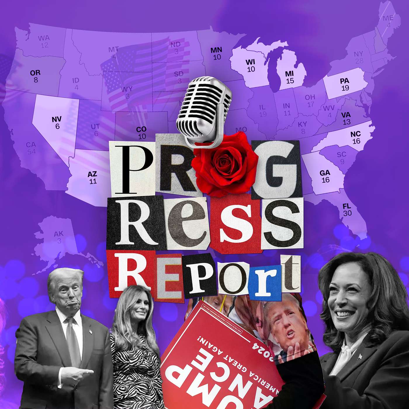 Progress Report