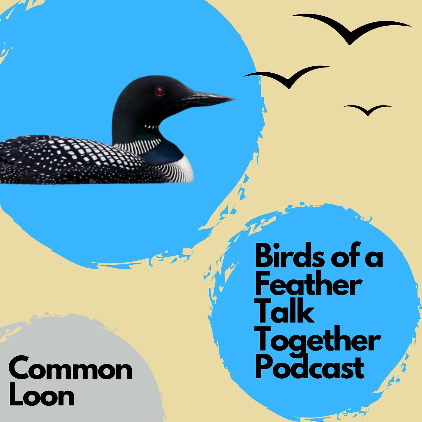 116: Common Loon - An Eerie and Beautiful Call - Listener Request!