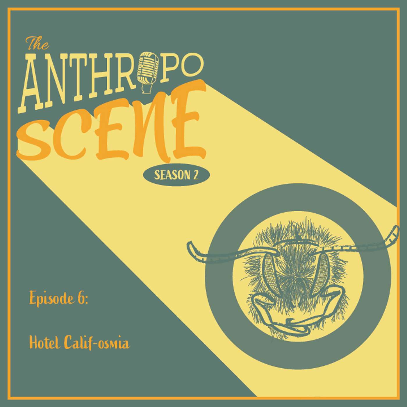 The Anthropo Scene Podcast