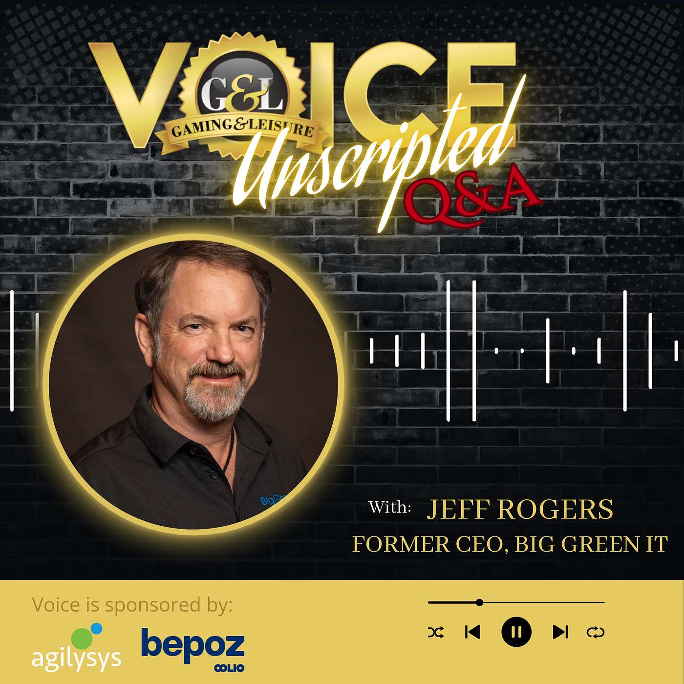 Jeff Rogers, Former CEO, Big Green IT