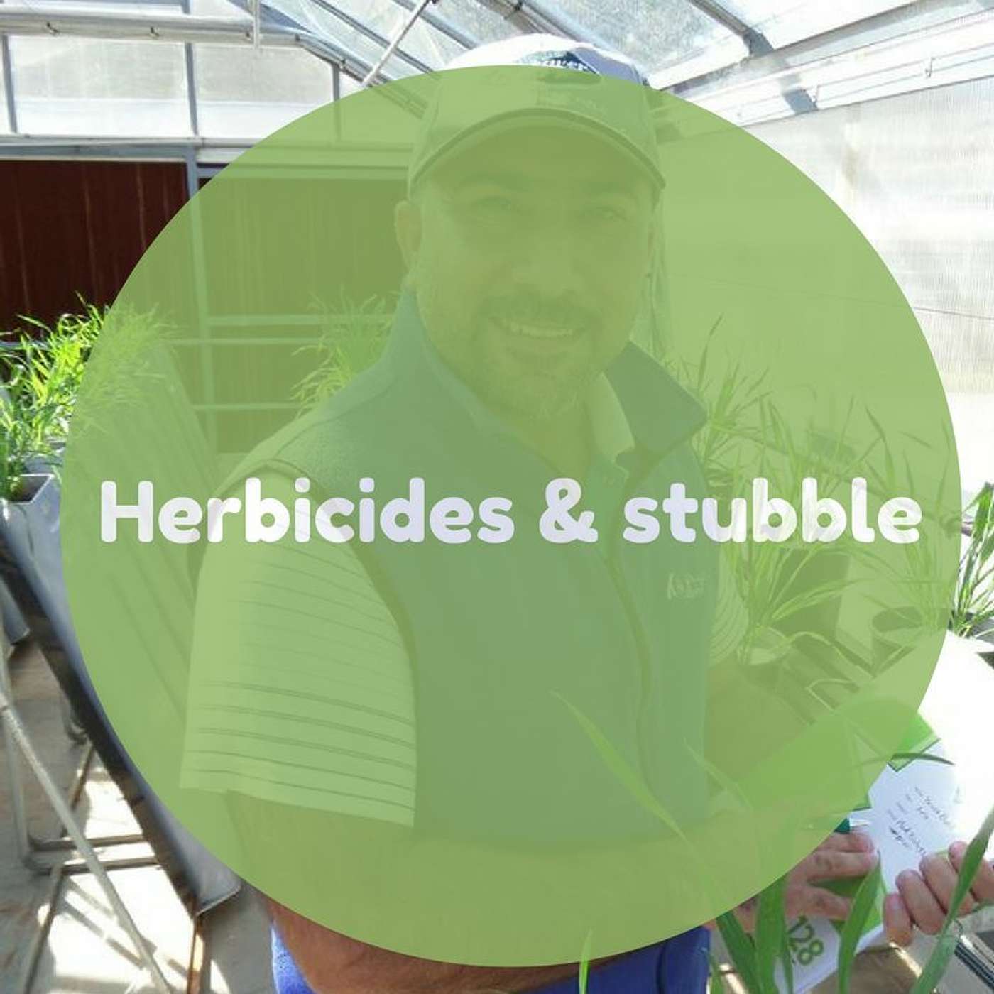 Herbicides and stubble – some wash off, some don’t