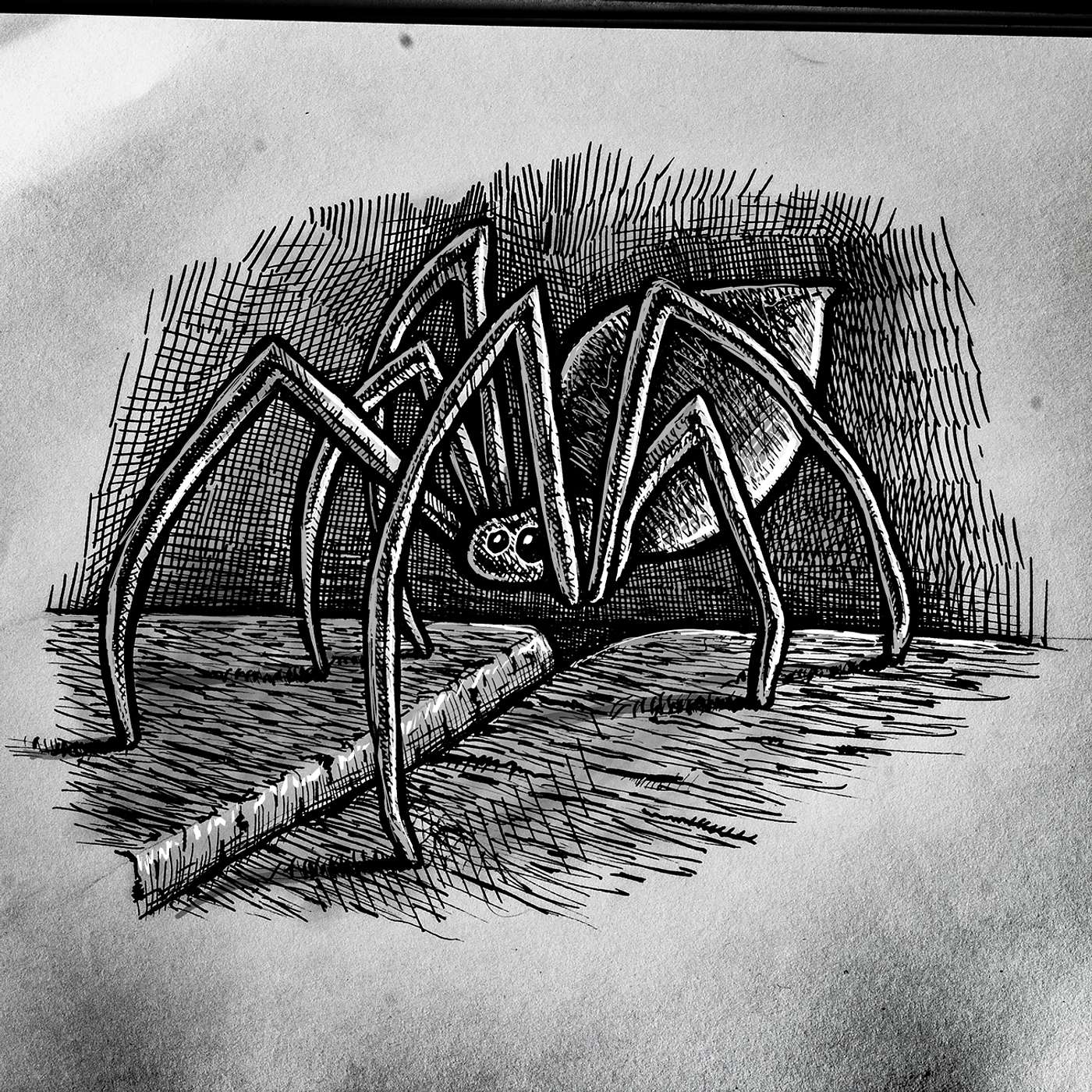 #21 | Spider School