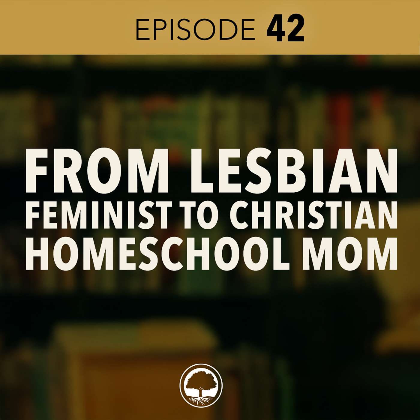 From Lesbian Feminist to Christian Homeschool Mom episode artwork