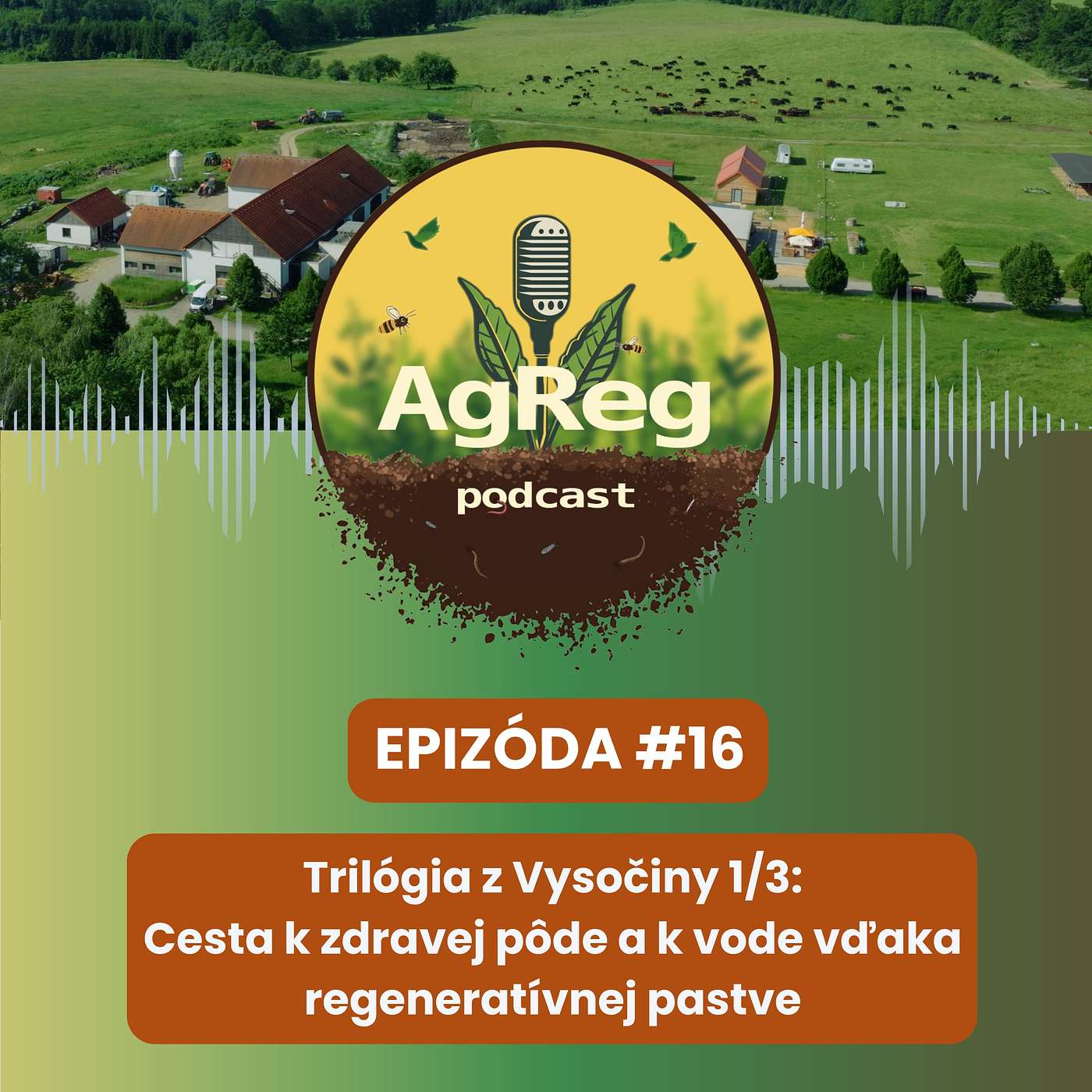 16. Trilógia z Vysočiny 1/3: Cesta k zdravej pôde a k vode vďaka regeneratívnej pastve
