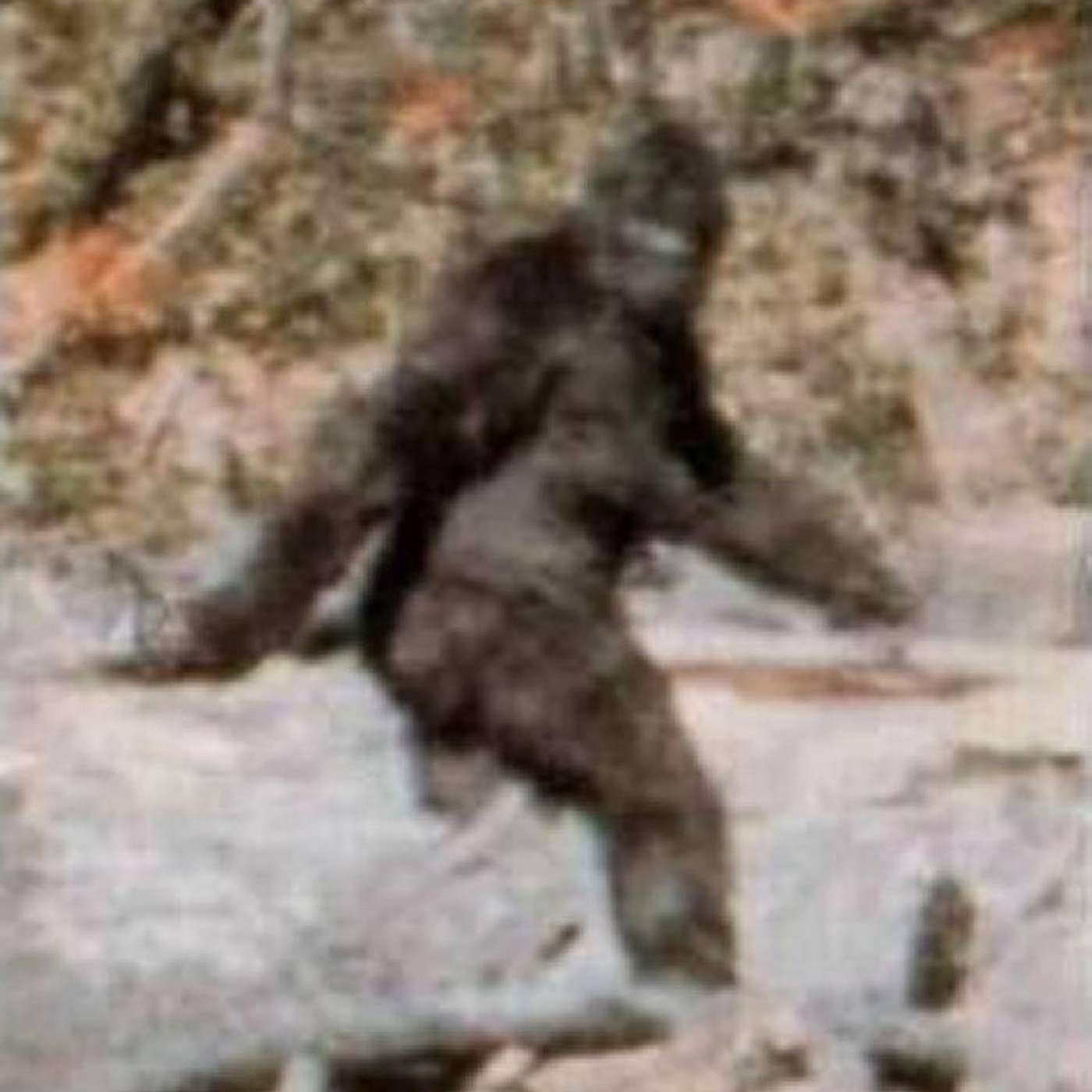 cover of episode Bigfoot: A History