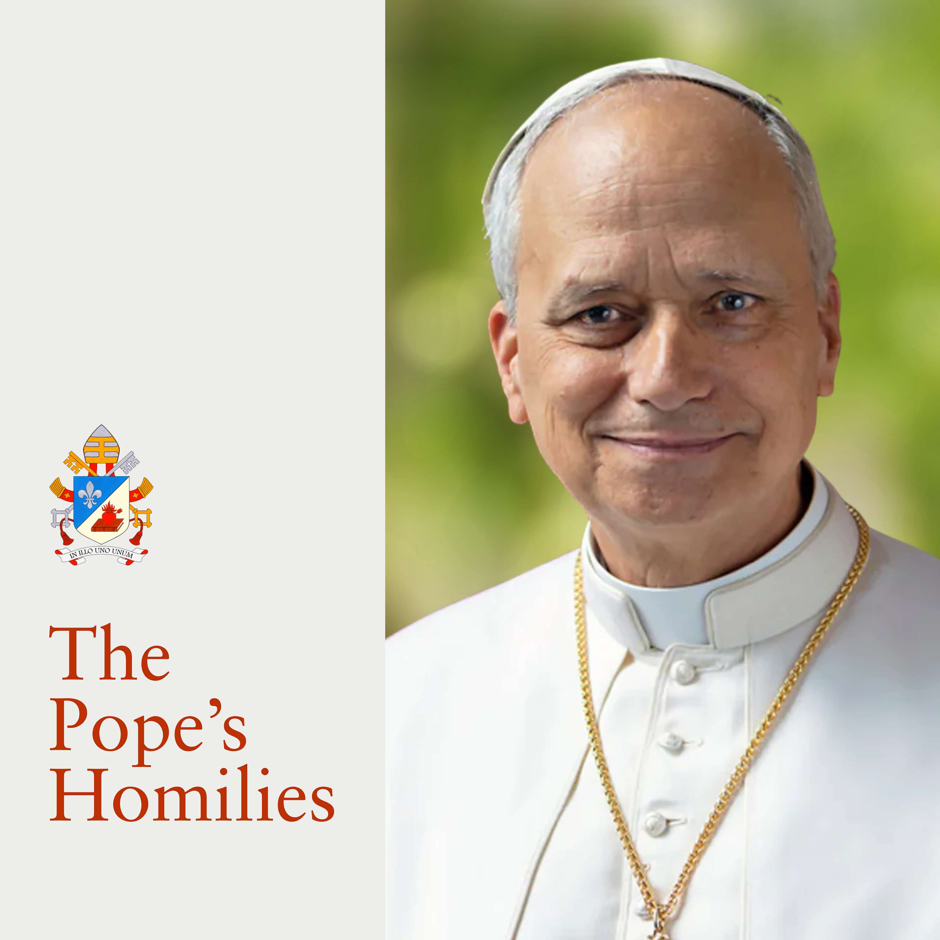 Pope's Homilies - English Version of the Pope’s Sermons and Speeches podcast artwork