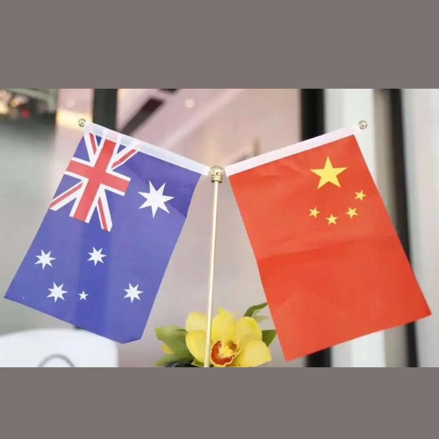 S2-EP 005 . The Dramatic Australia-China Collaboration on Low Carbon Technology: A Conversation with Diarmuid Cooney-O'Donoghue