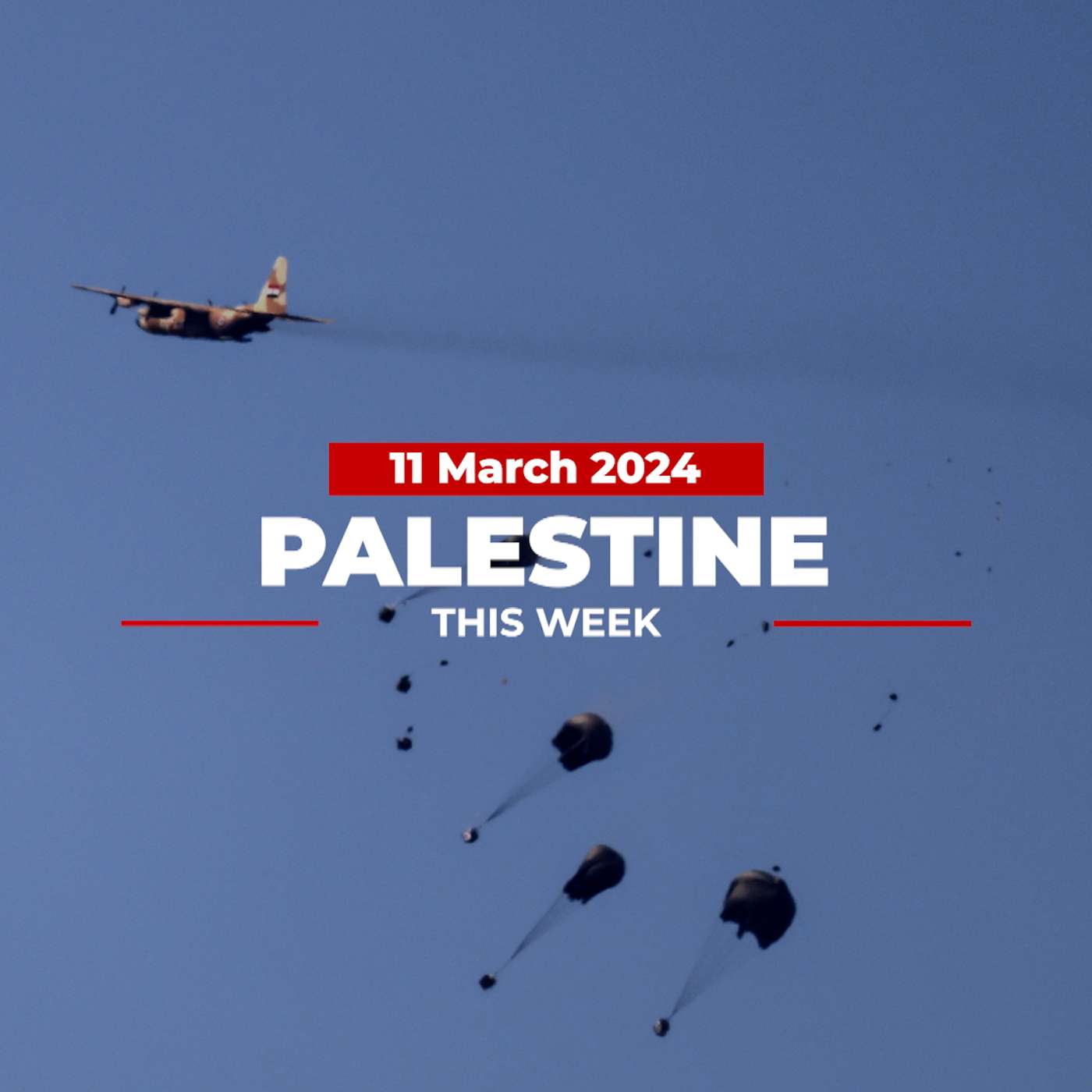 Palestine This Week