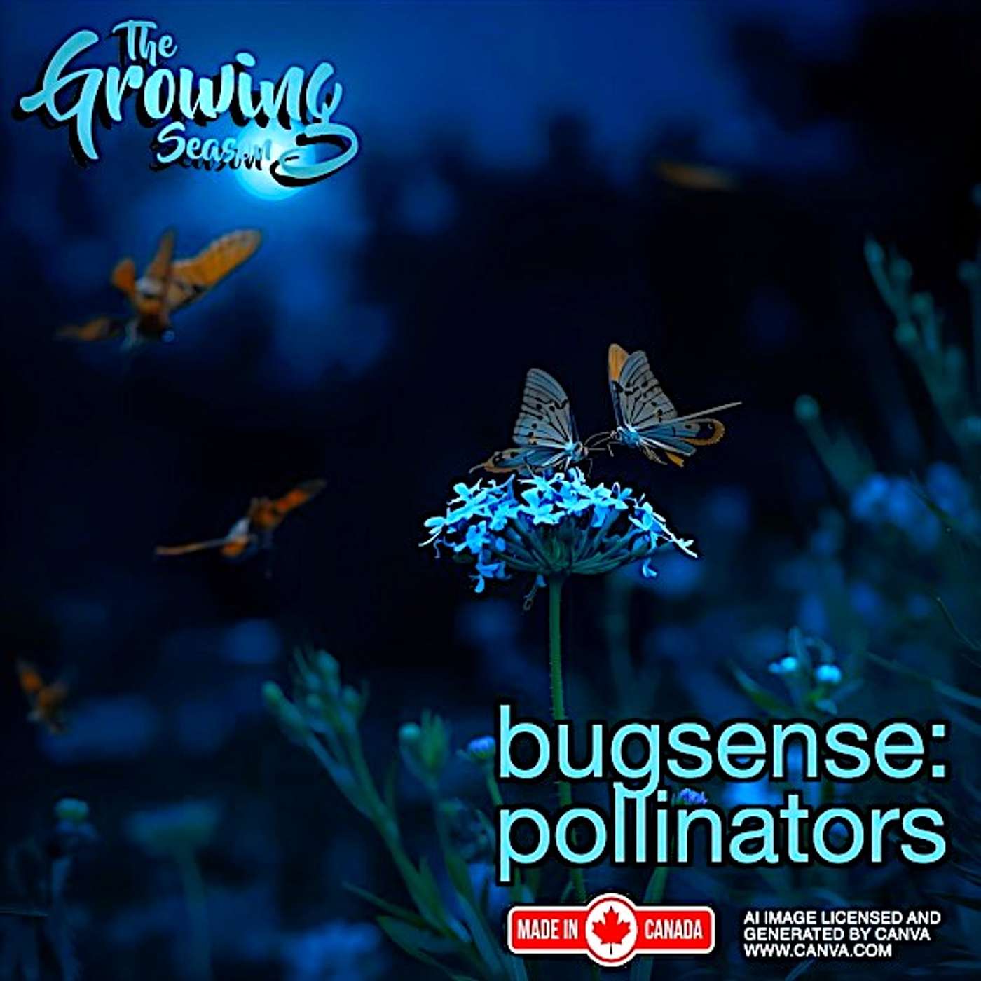 The Growing Season, Sept 13, 2025 - Bugsense: Pollinators