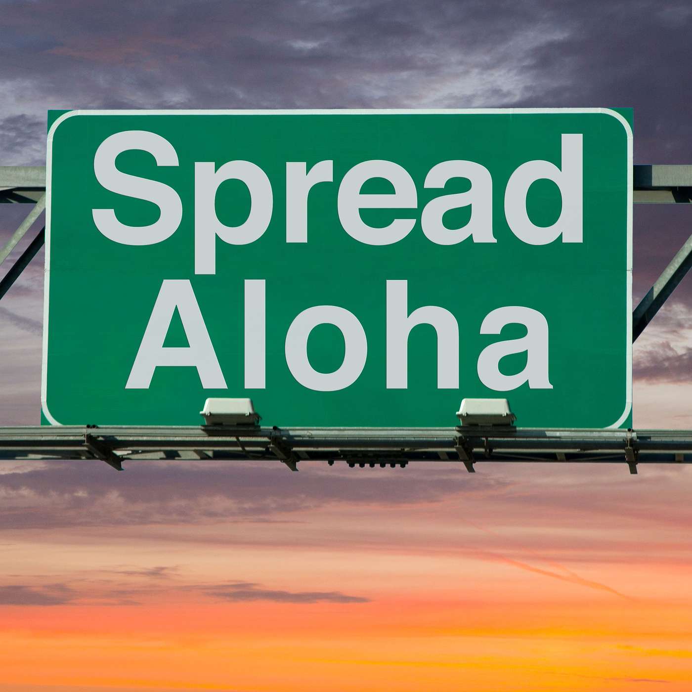Episode 2: Why Aloha?