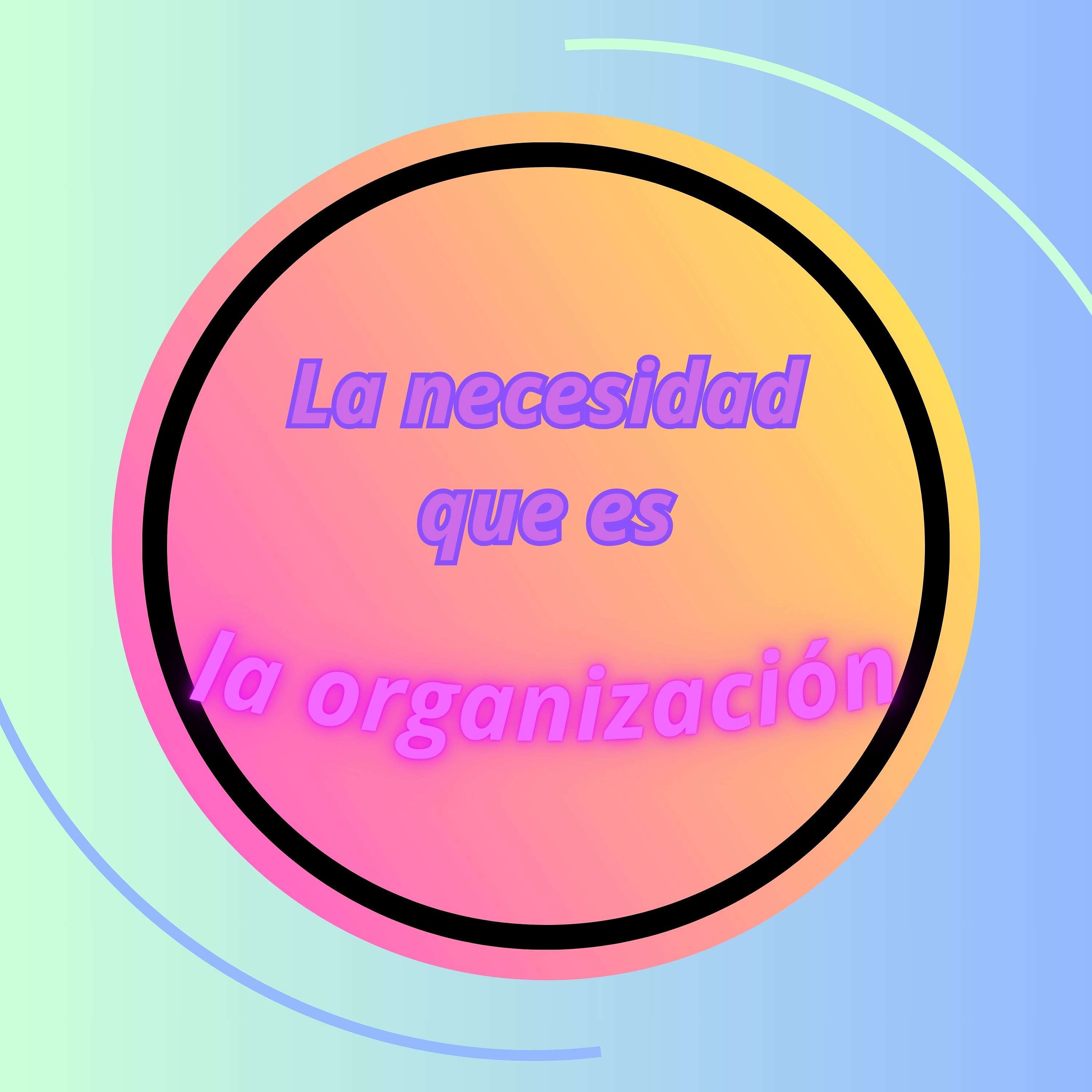 La importancia de la organización