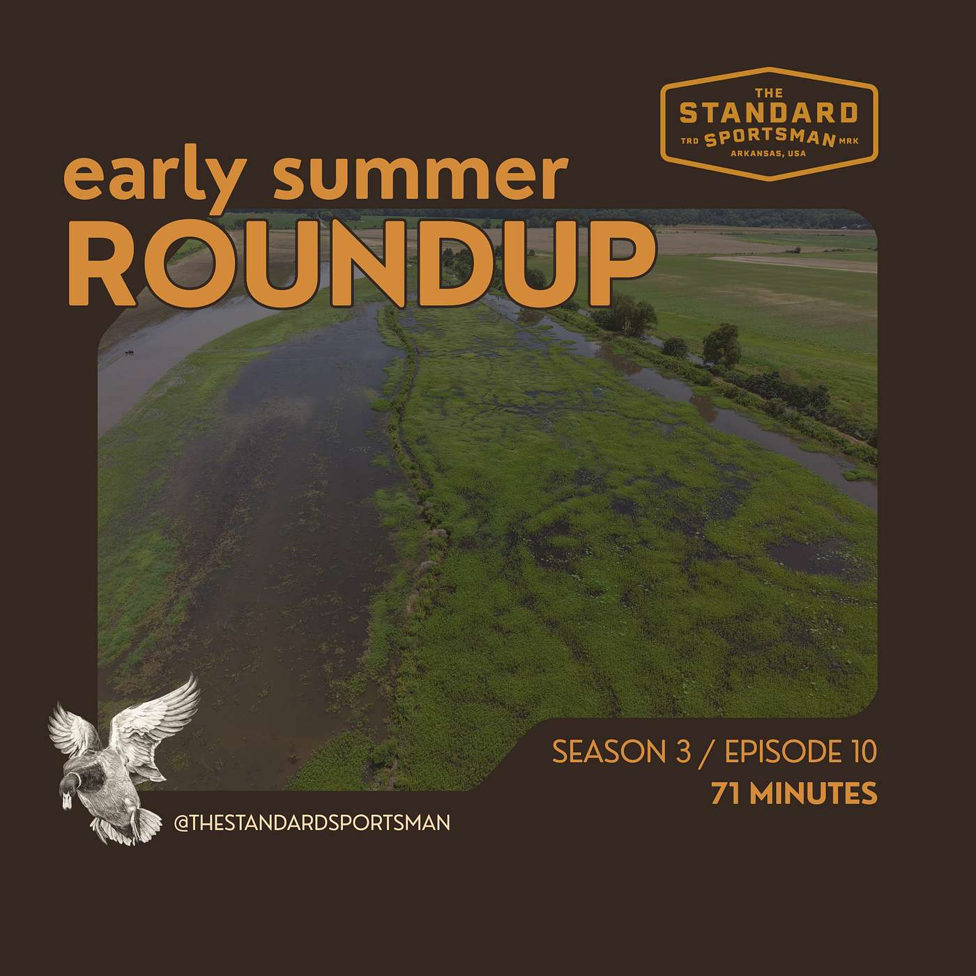 Early Summer Roundup episode artwork