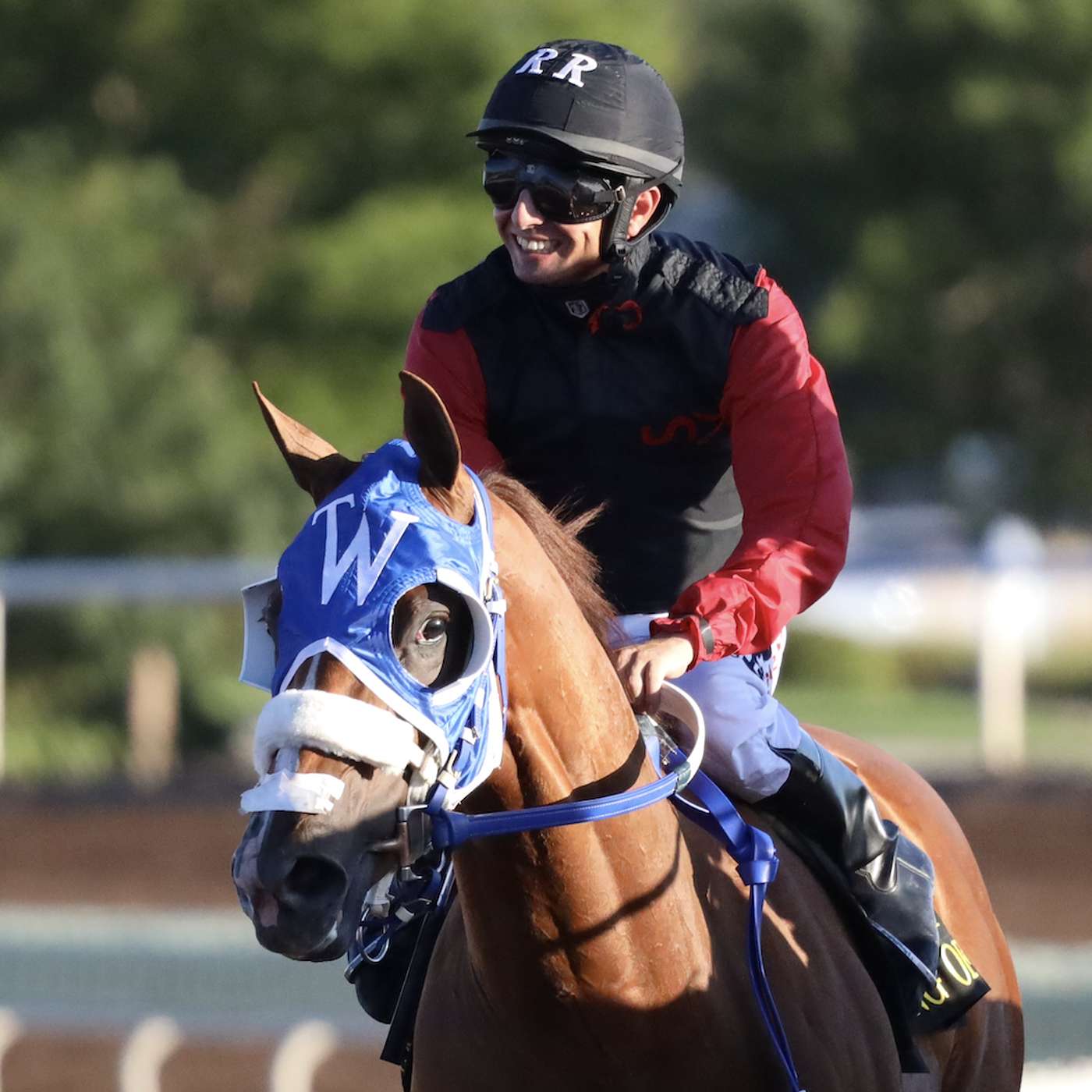 StallioneSearch Podcasts