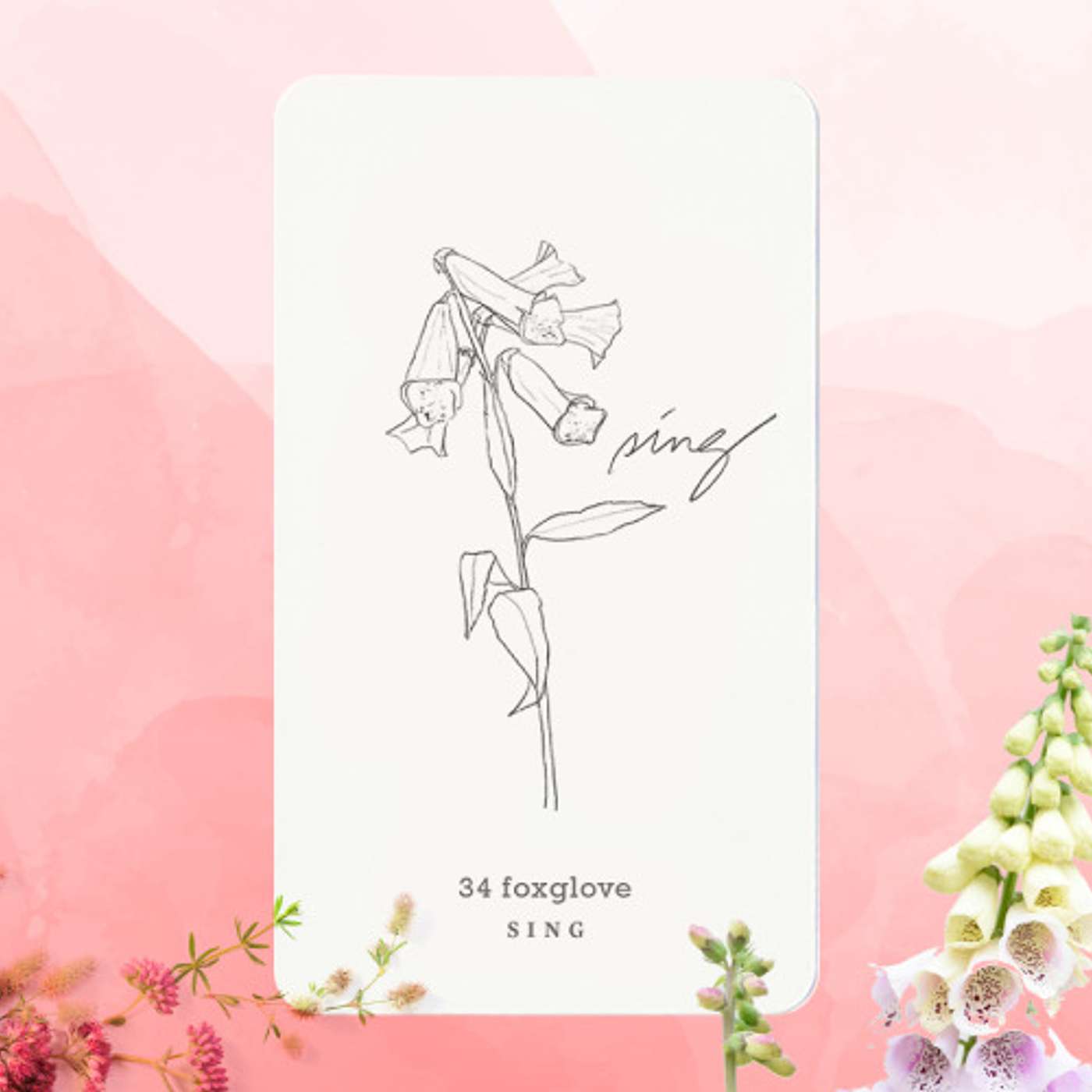 Gratitude Blooming Podcast