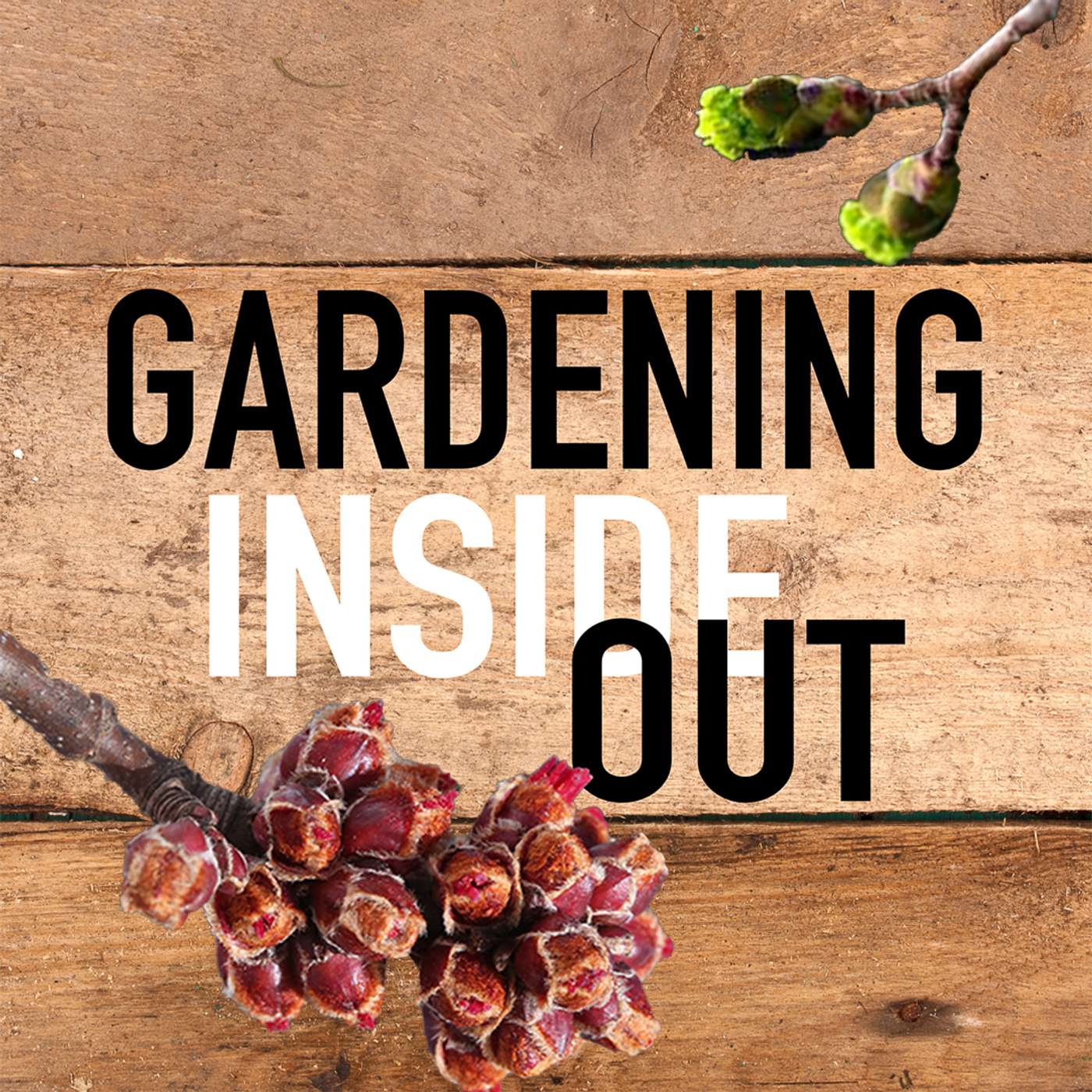 Ep. 134 | Spring Fever, Tyler's frog pond, Viburnum | Feb 21