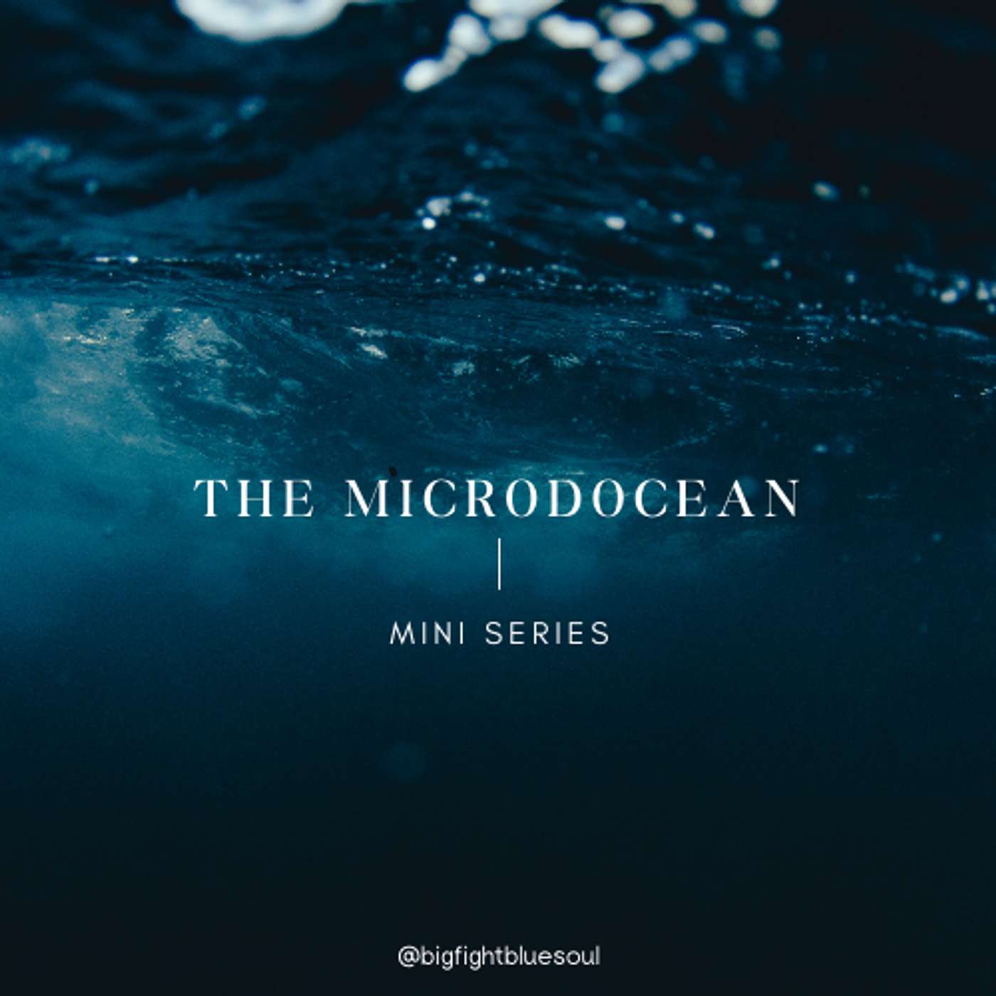 the microdOcean: Manta ray magic with Dr. Asia Haines