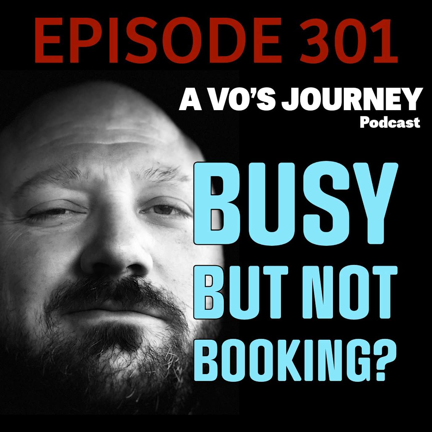Ep. 301: Busy but Not Booking? Your Voice Over Business Needs ONE Goal episode artwork