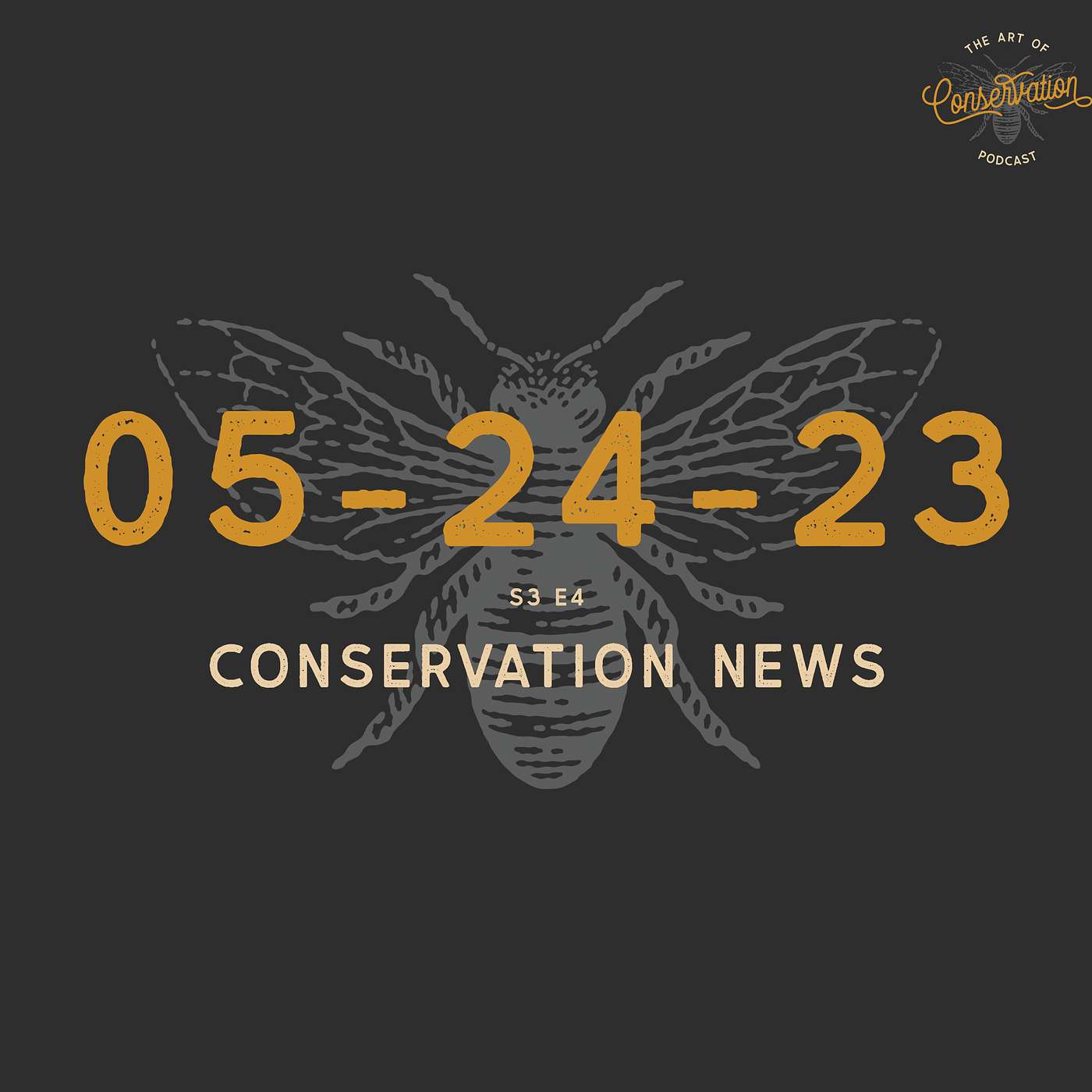 The Art Of Conservation