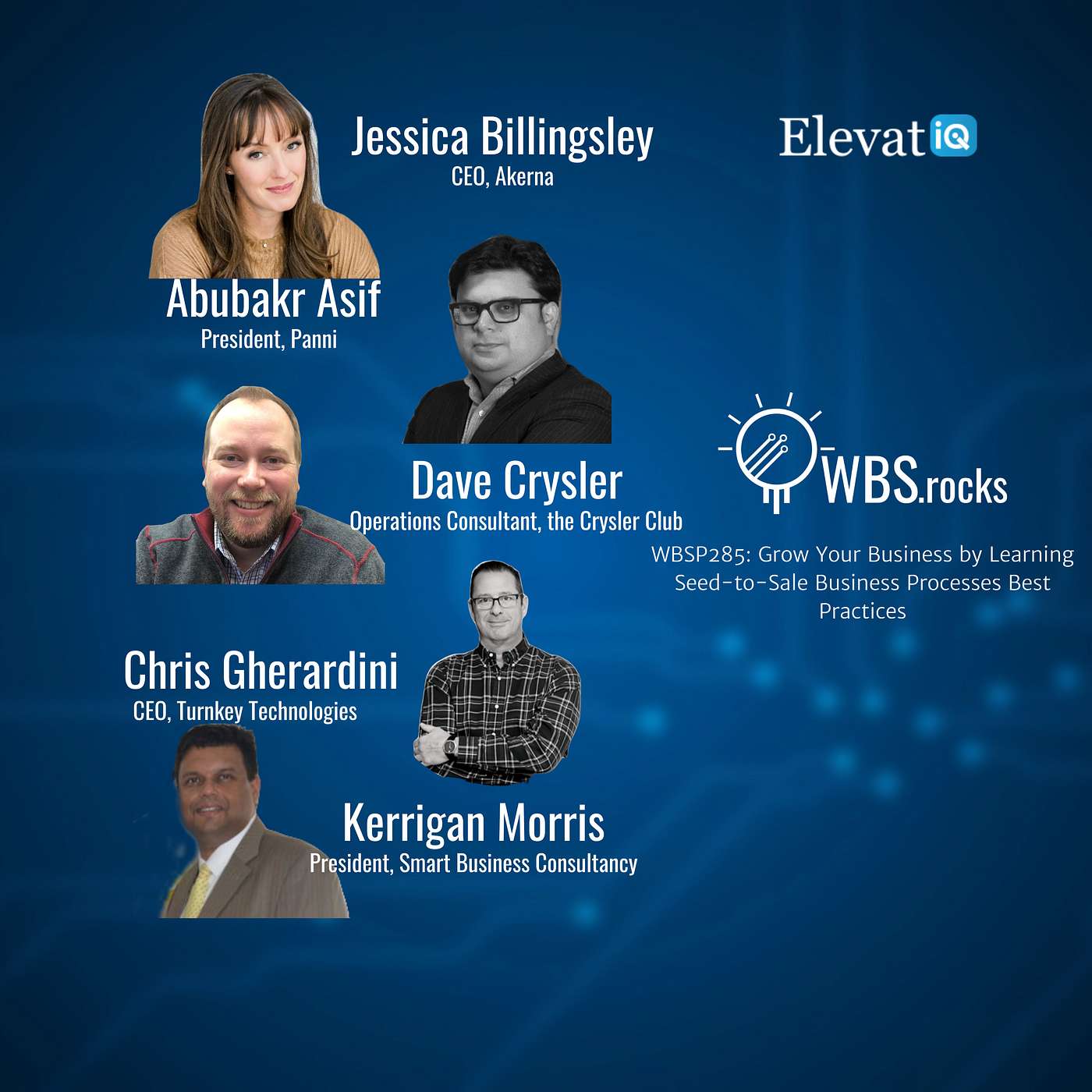 WBSP285: Grow Your Business by Learning Seed-to-Sale Business Processes Best Practices, a Live Interview w/ a Panel of Experts