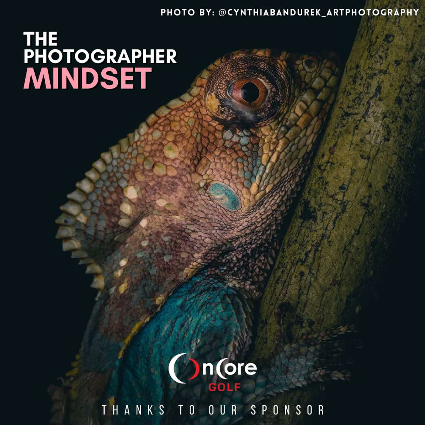 The Photographer Mindset
