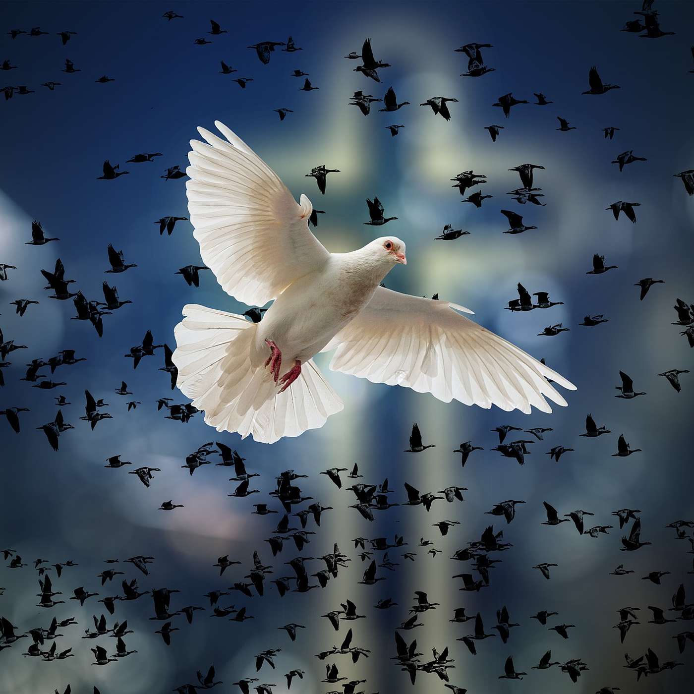 Conversations with the universe - Spirituality, consciousness, worldly wisdoms