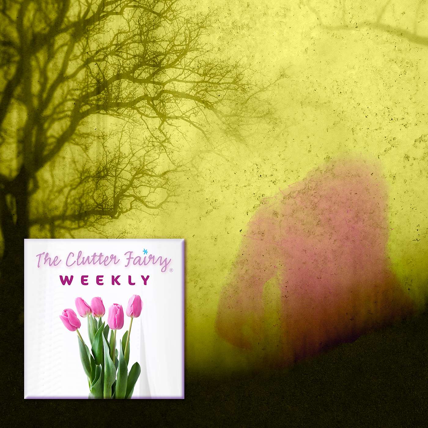 Decluttering with Bigfoot: Organizing Myths versus Reality - The Clutter Fairy Weekly #116