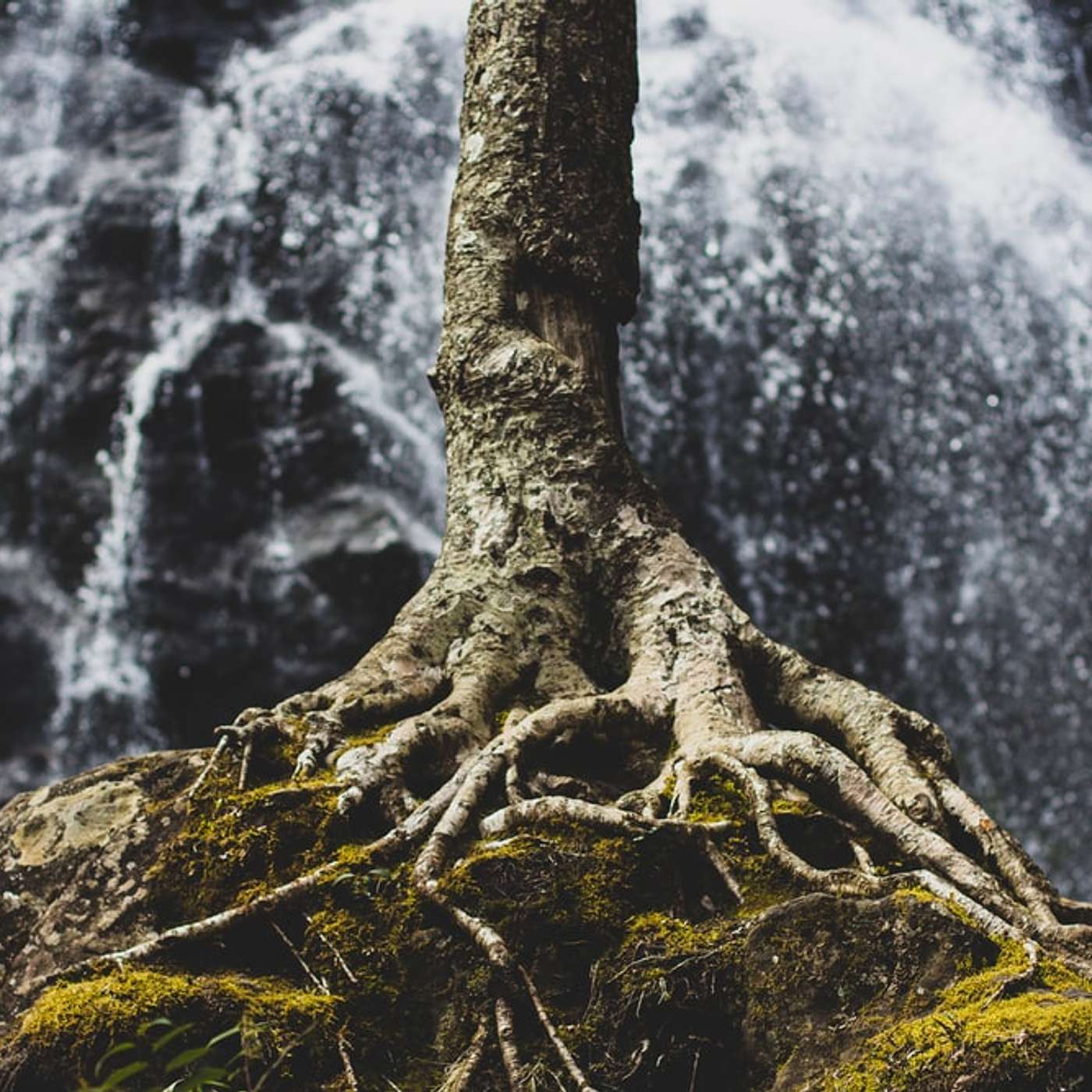 Sunday Service Podcast April 5th – Core Strength