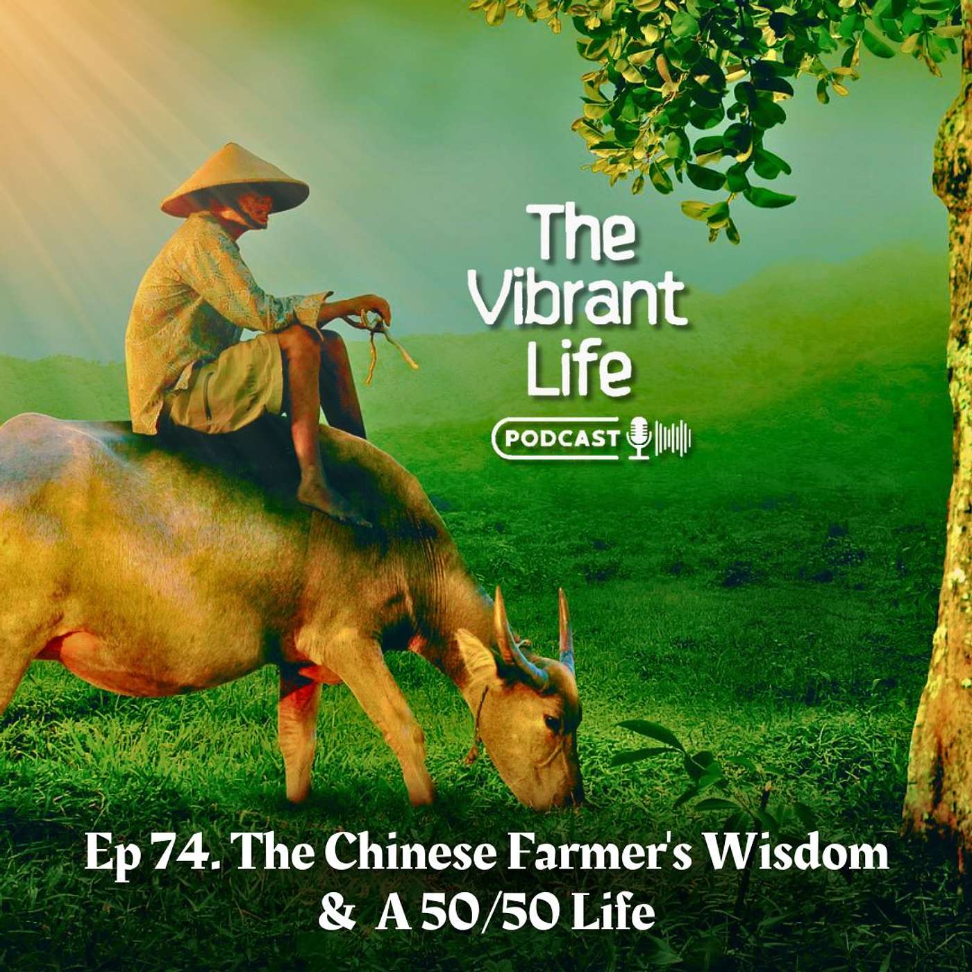 The Vibrant Life