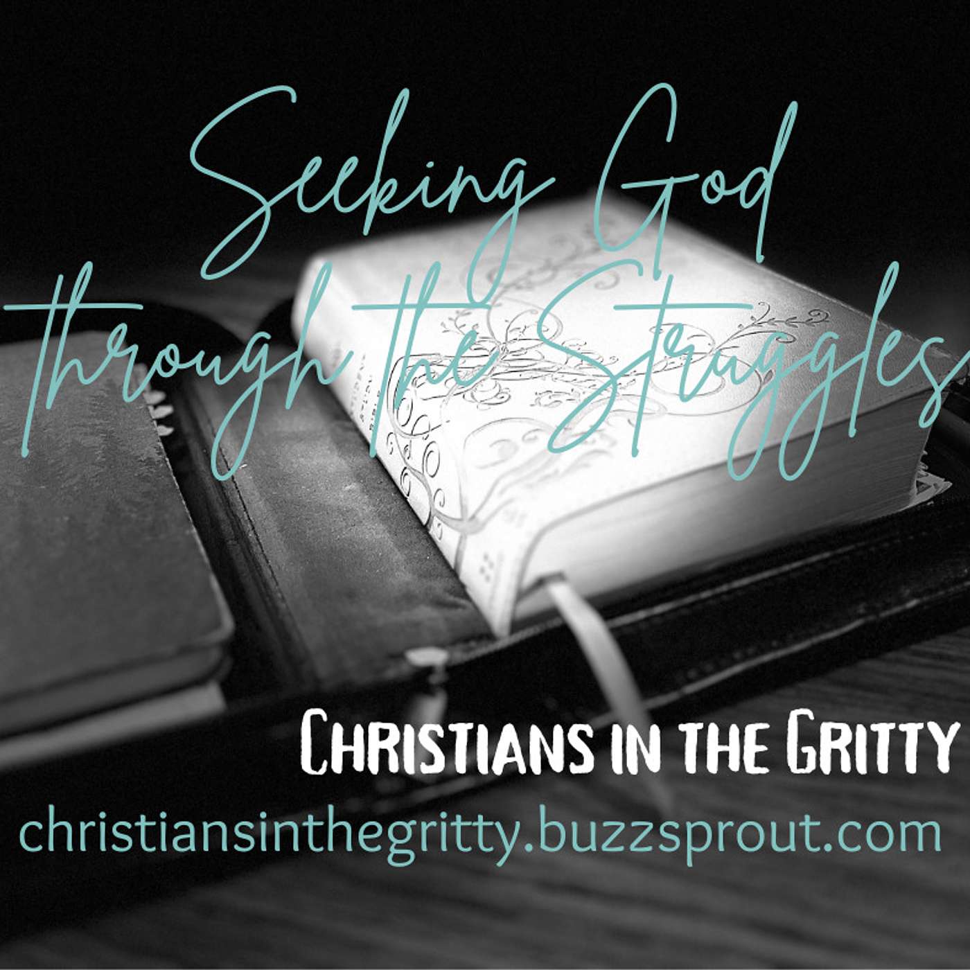 Seeking God Through the Struggles episode artwork