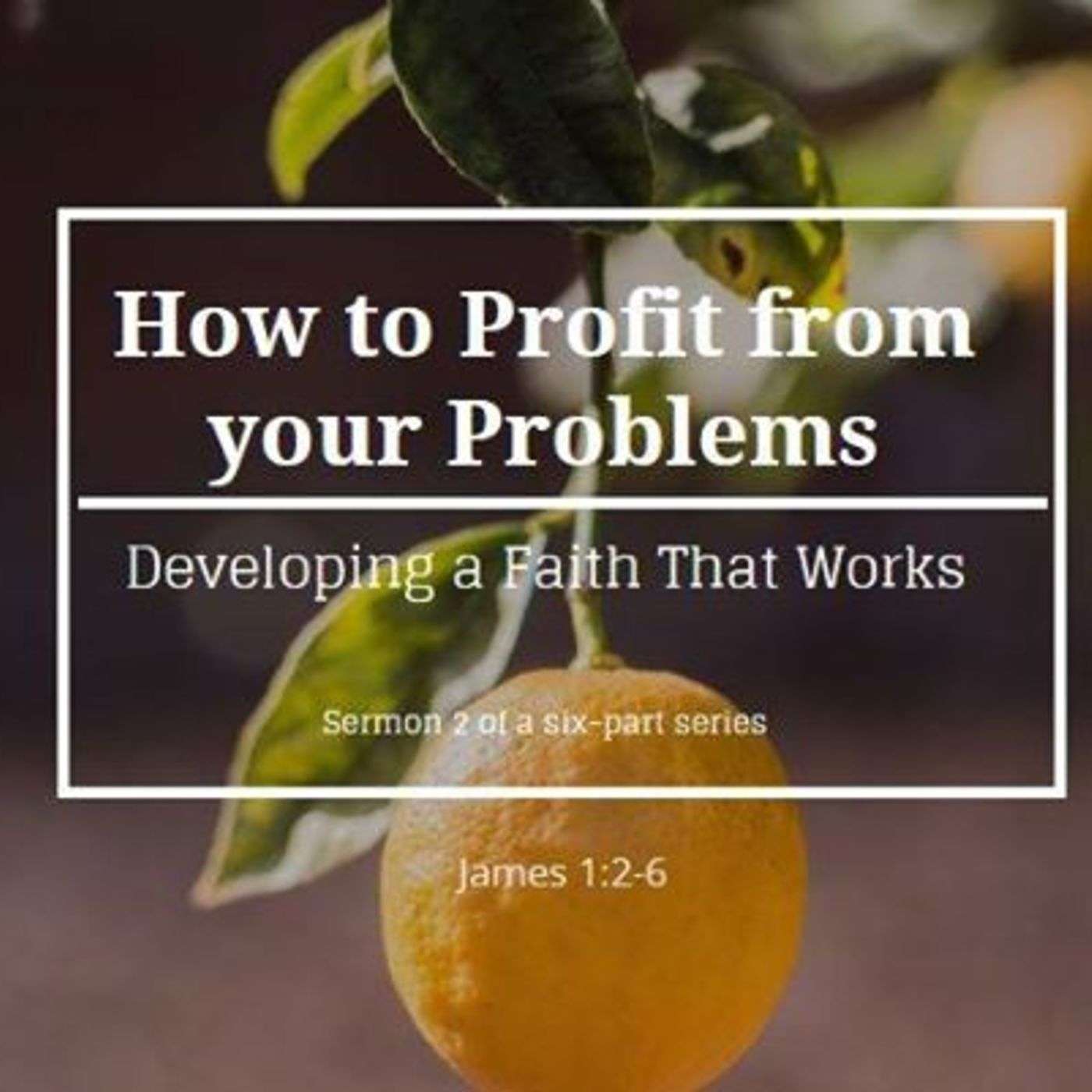 How to Profit From Your Problems