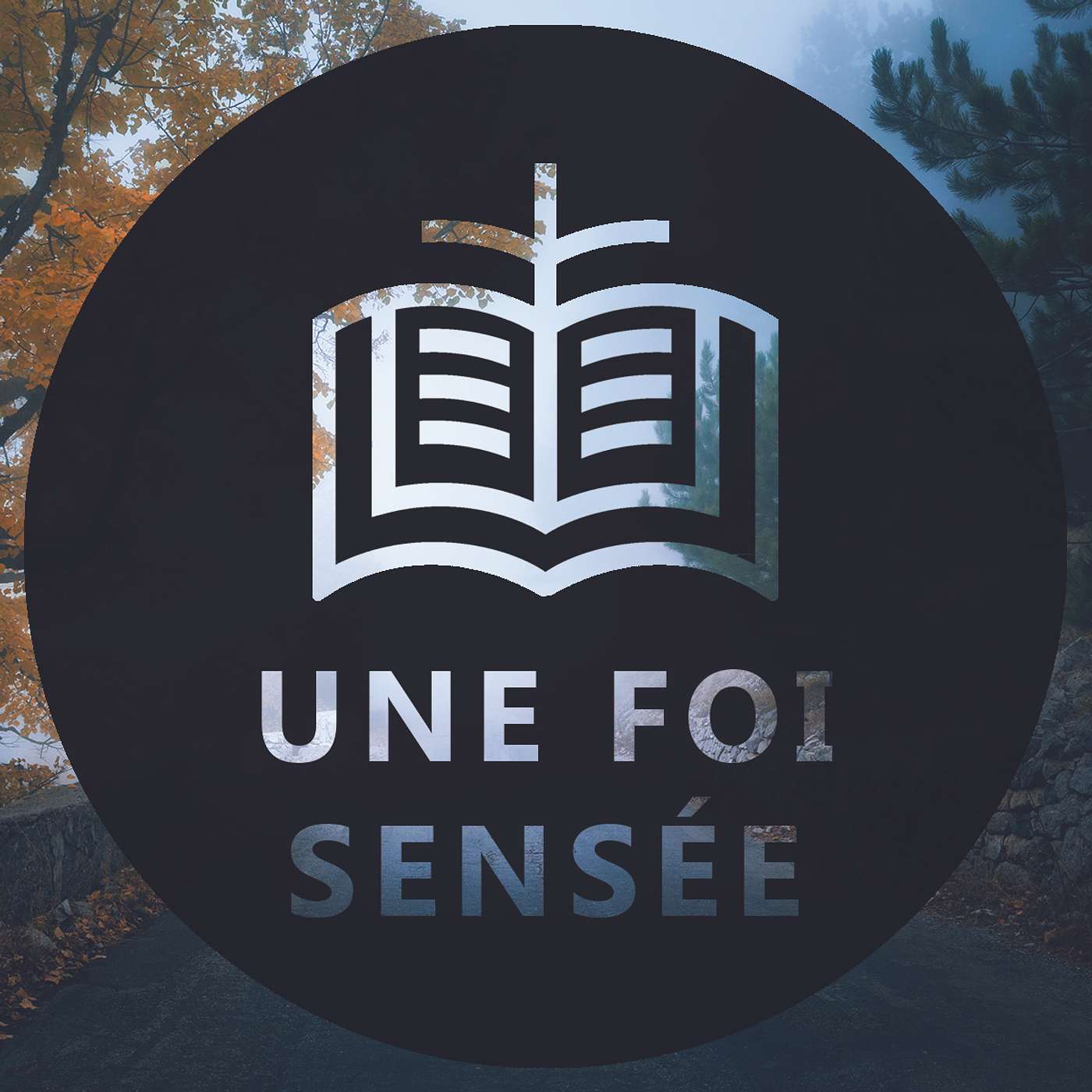 Une foi sensée podcast artwork