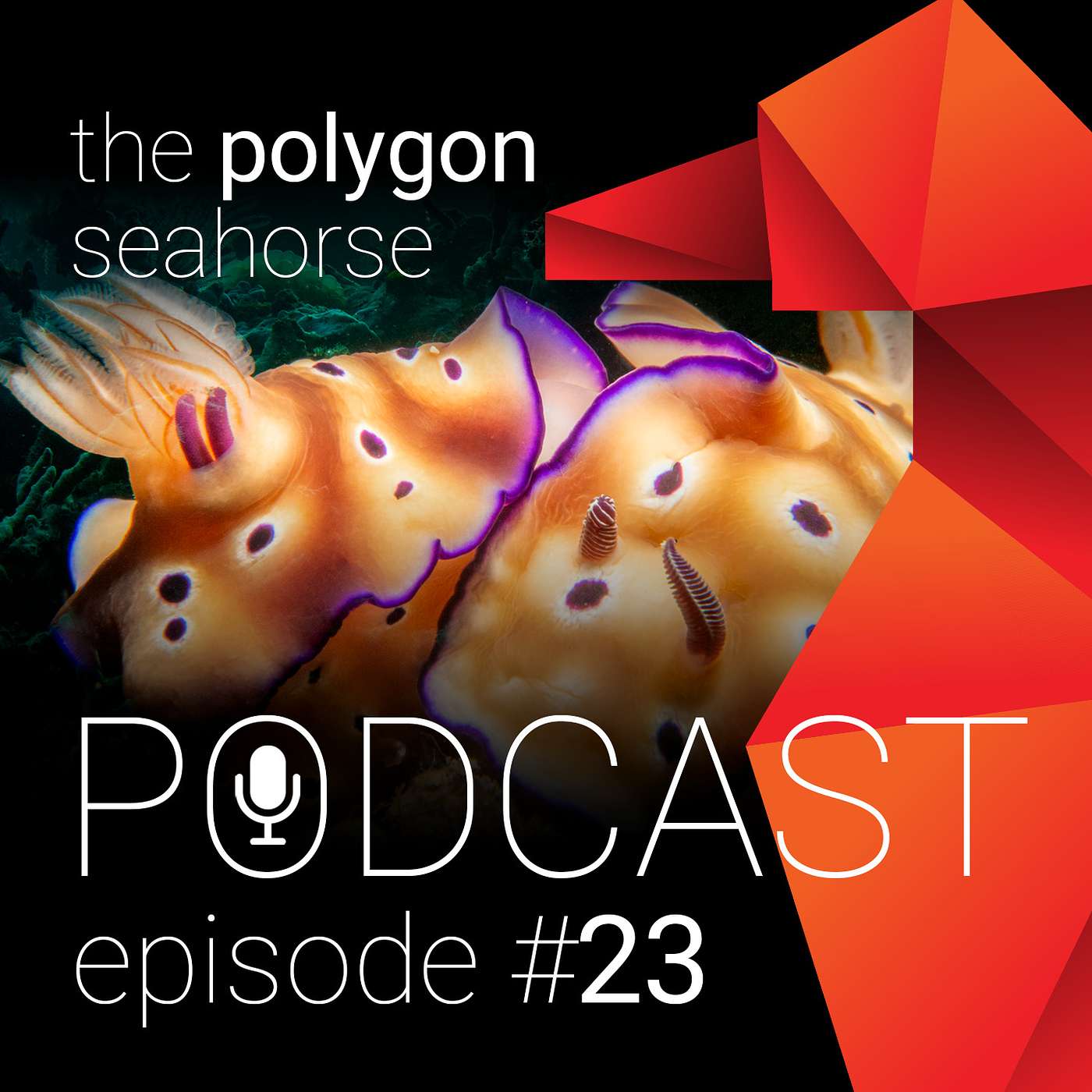 the polygon seahorse podcast, dé podcast over duiken